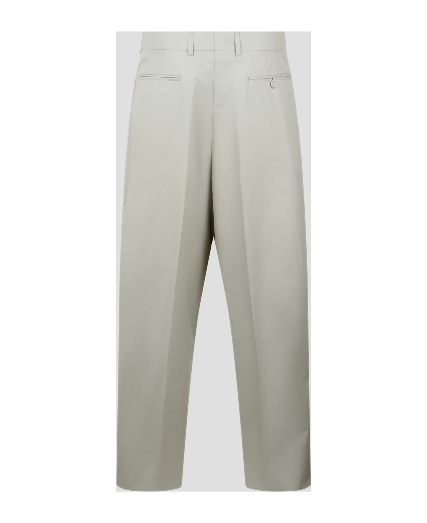 Dior Pleated Pants - Nude & Neutrals
