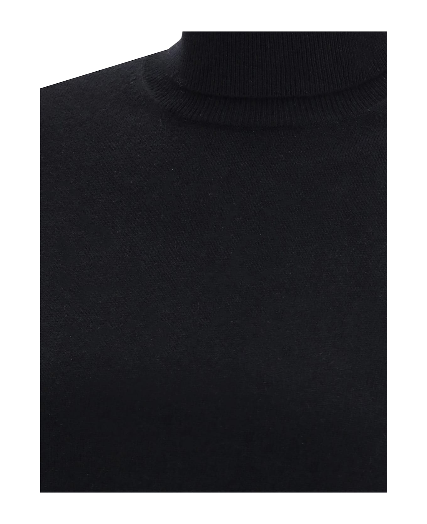 Max Mara Studio Educata Turtleneck