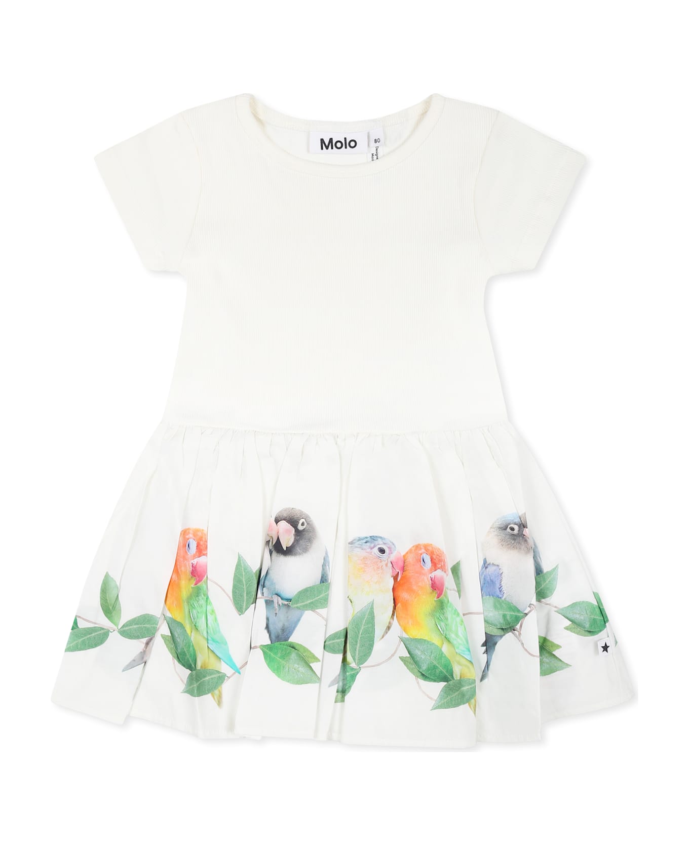 Molo White Dress For Baby Girl With Parrots - White