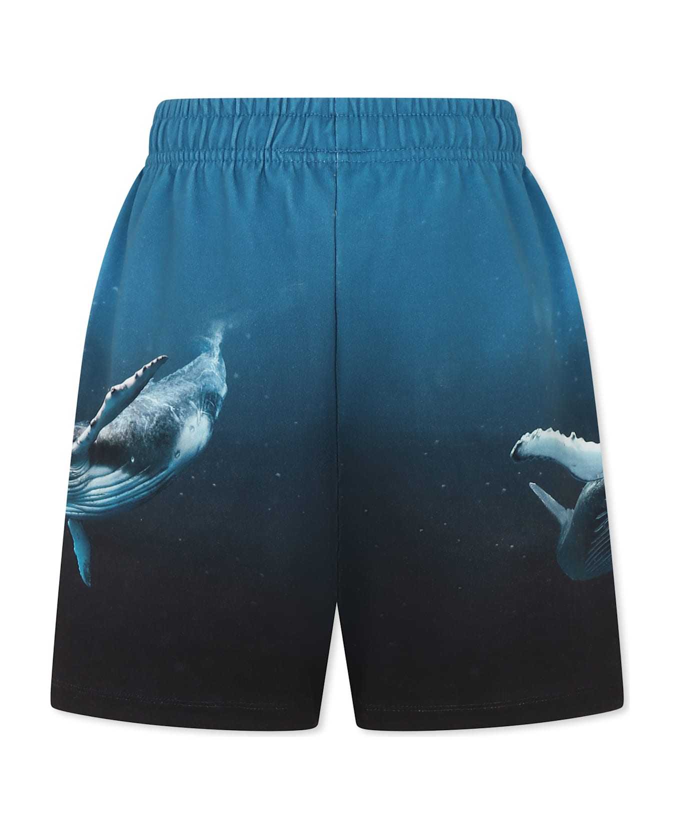Molo Light Blue Shorts For Boy With Whale - Light Blue