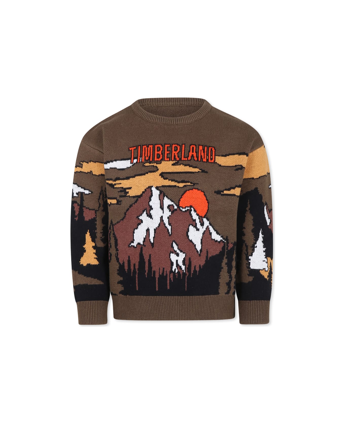 Timberland Green Sweater For Boy With Landscape - Green