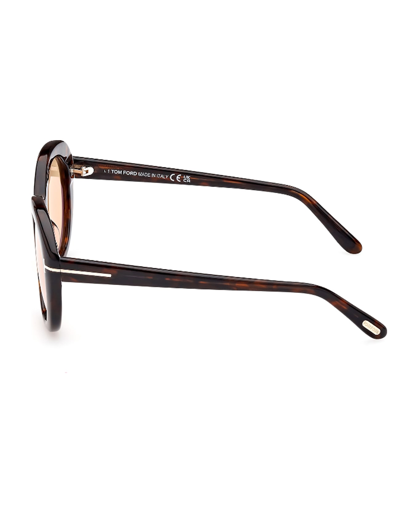 Tom Ford Eyewear FT1009 Sunglasses - E
