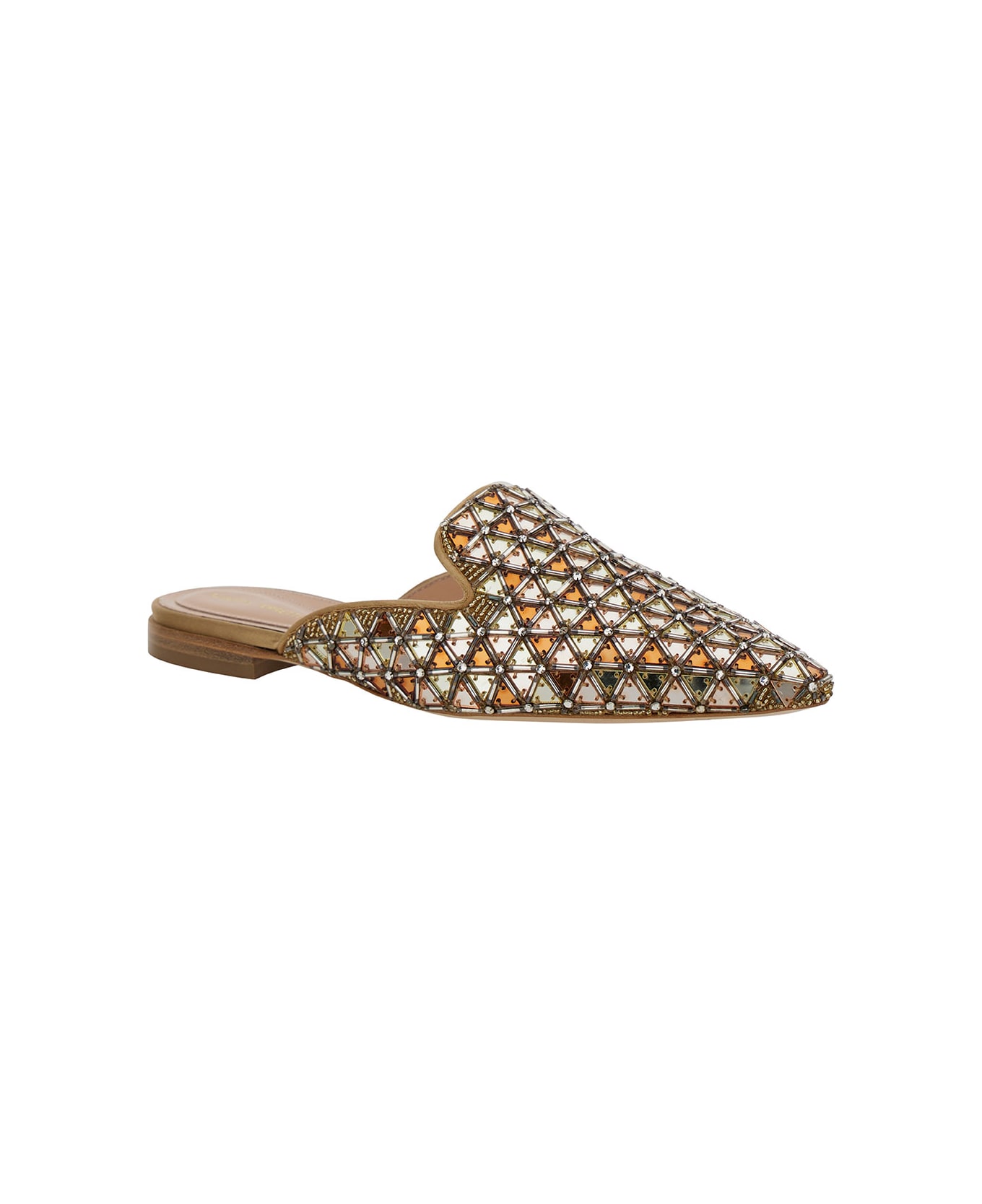 Alberta Ferretti Brown Mules With Embroideries In Leather And Acetate Woman - Beige
