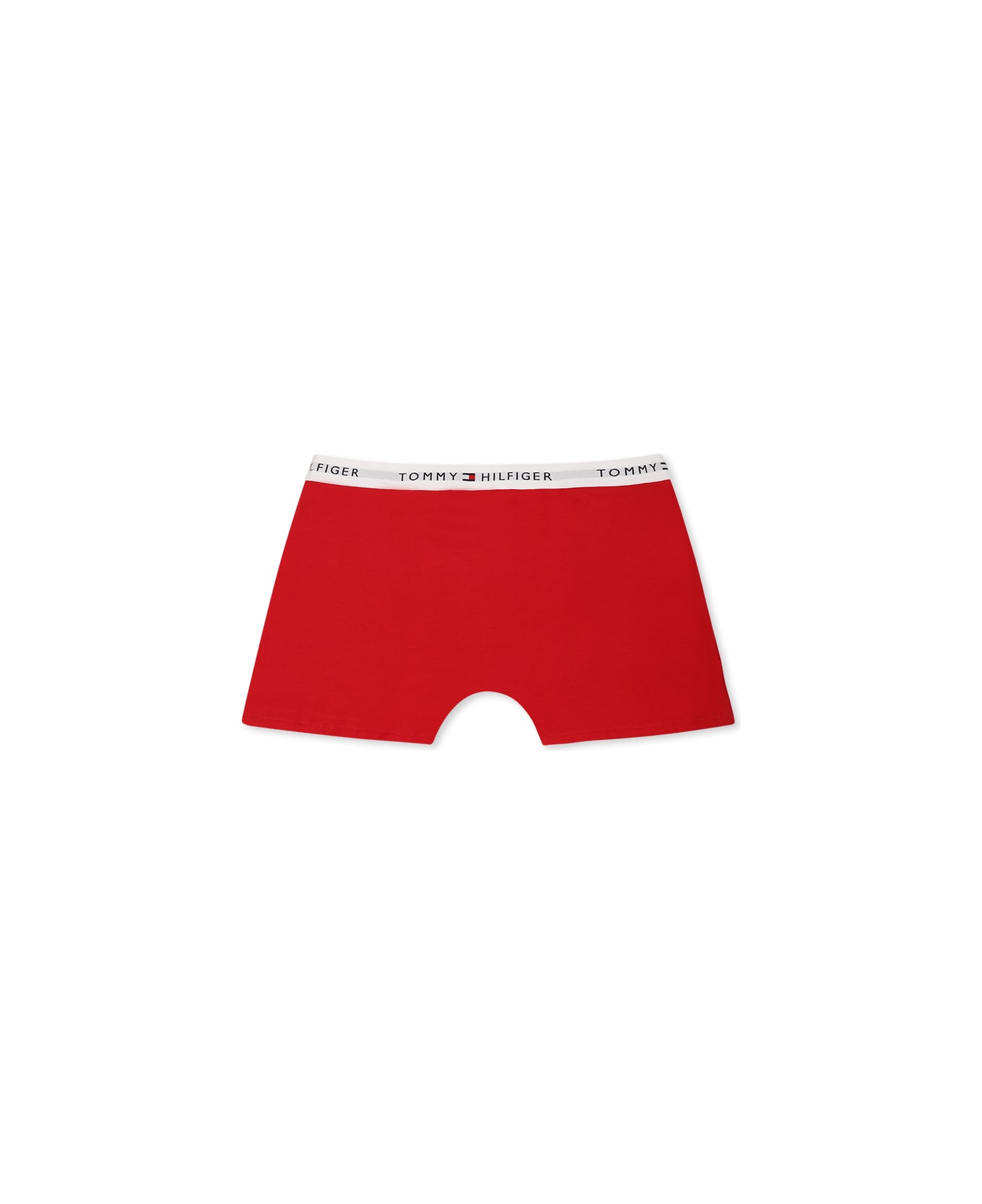 Tommy Hilfiger Multicolor Boxer Briefs Set For Boy With Logo - Multicolor