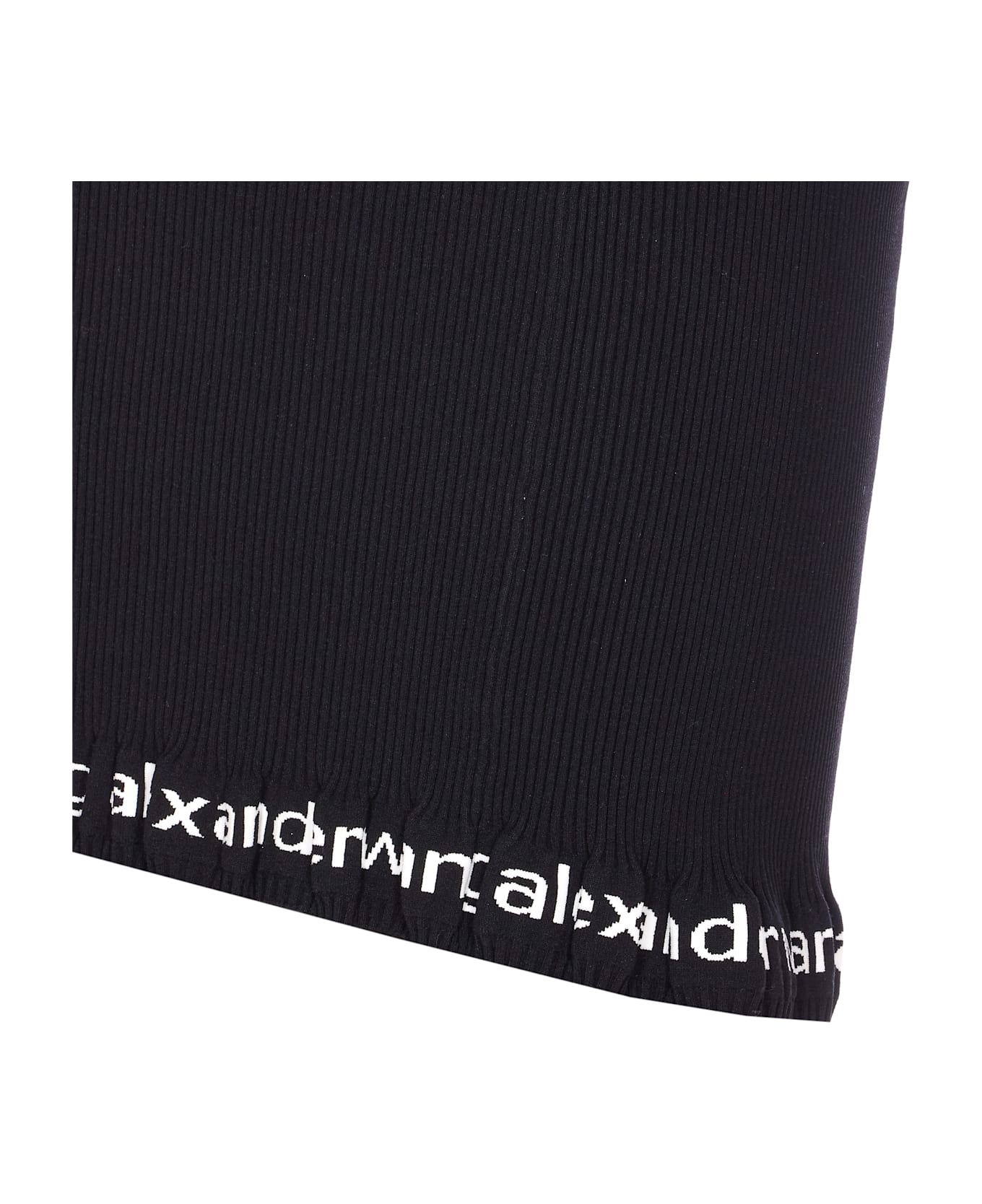 Alexander Wang Mini Logo Skirt - Black