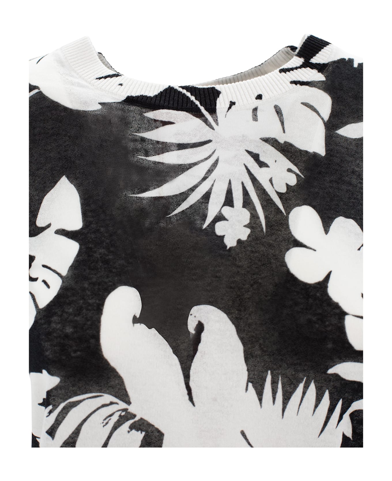 Max Mara Studio Jersey With Print - Fantasia