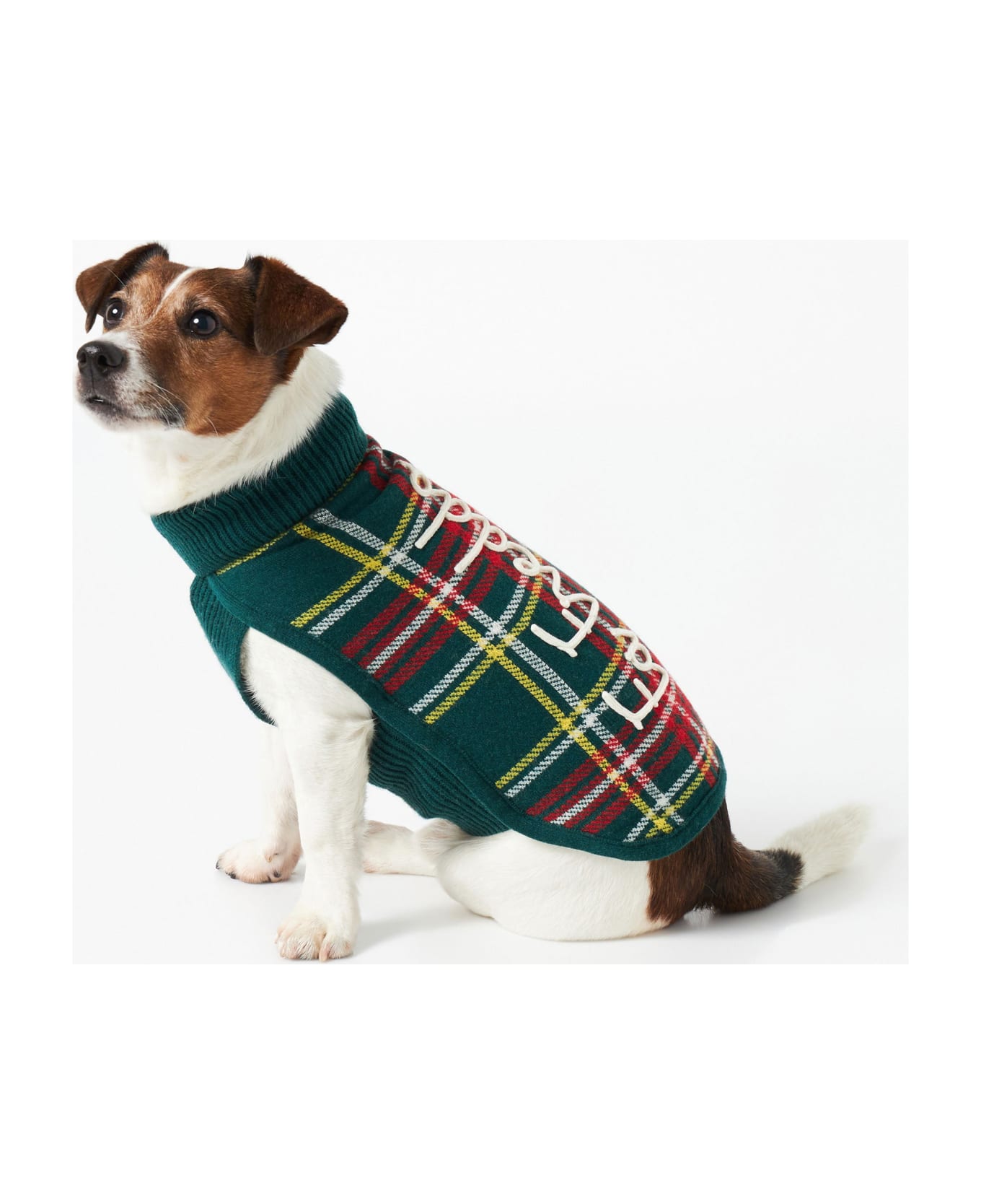 MC2 Saint Barth Dog Sweater With Tartan Jacquard - GREEN