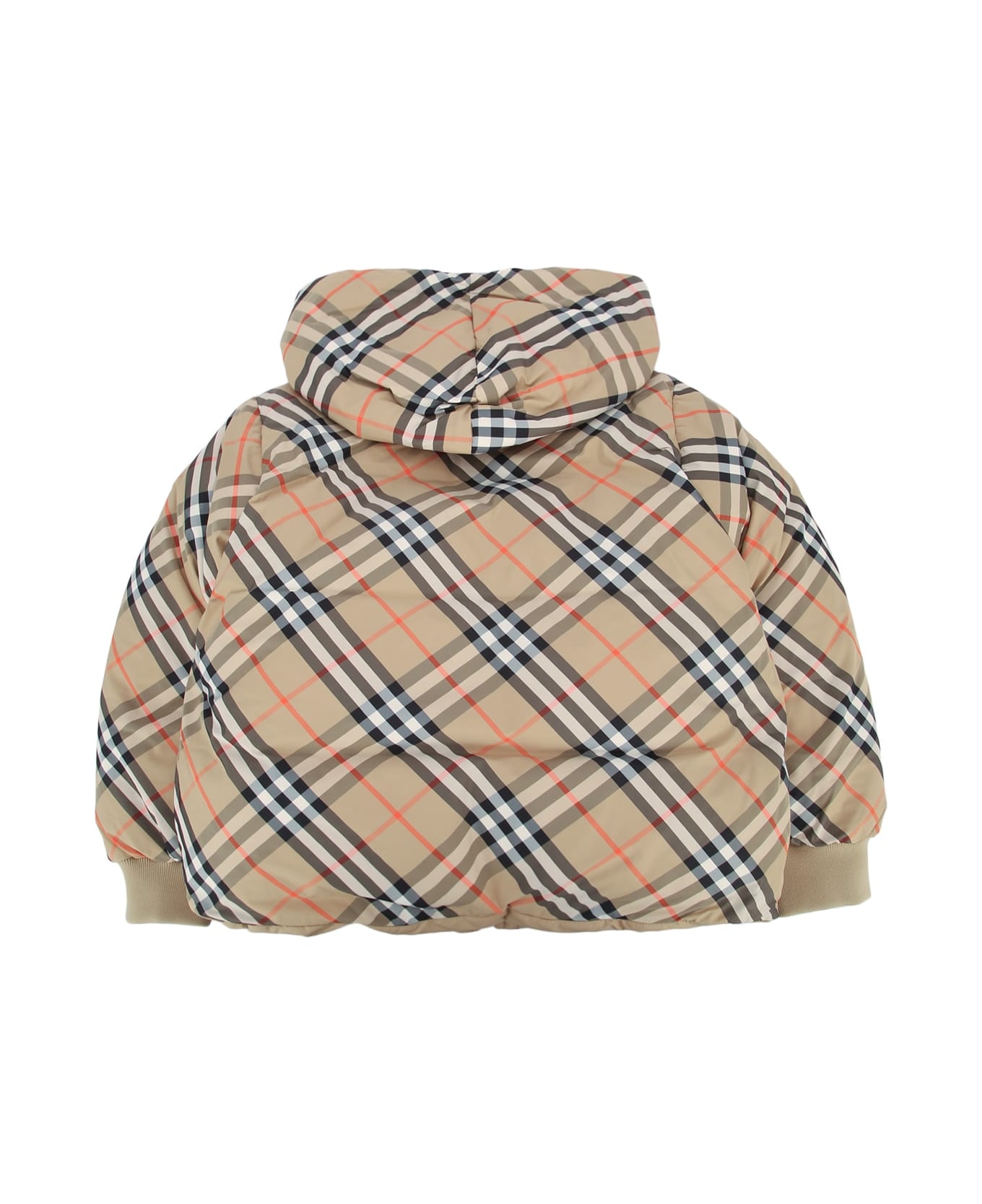 Burberry Kg6 Axel N - SANDIPCHECK