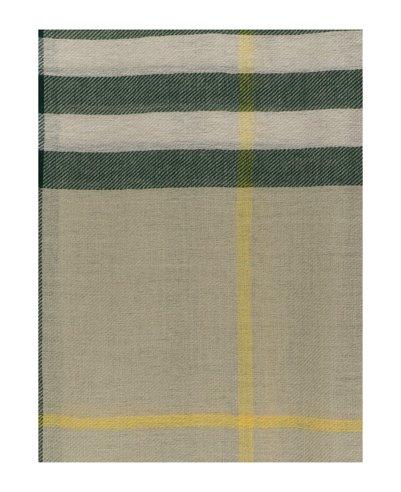 Burberry Check Paster Green Scarf - Beige
