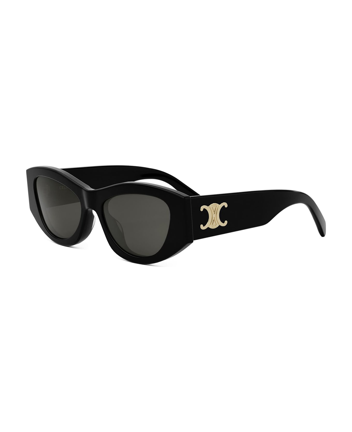 Celine Triomphe Cl40308u - Black Sunglasses - Black