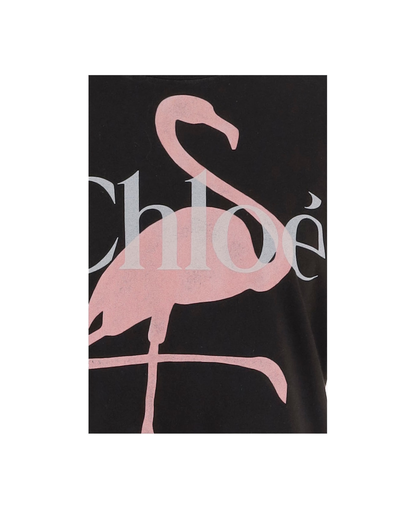 Chloé Cotton T-shirt With Logo - Black