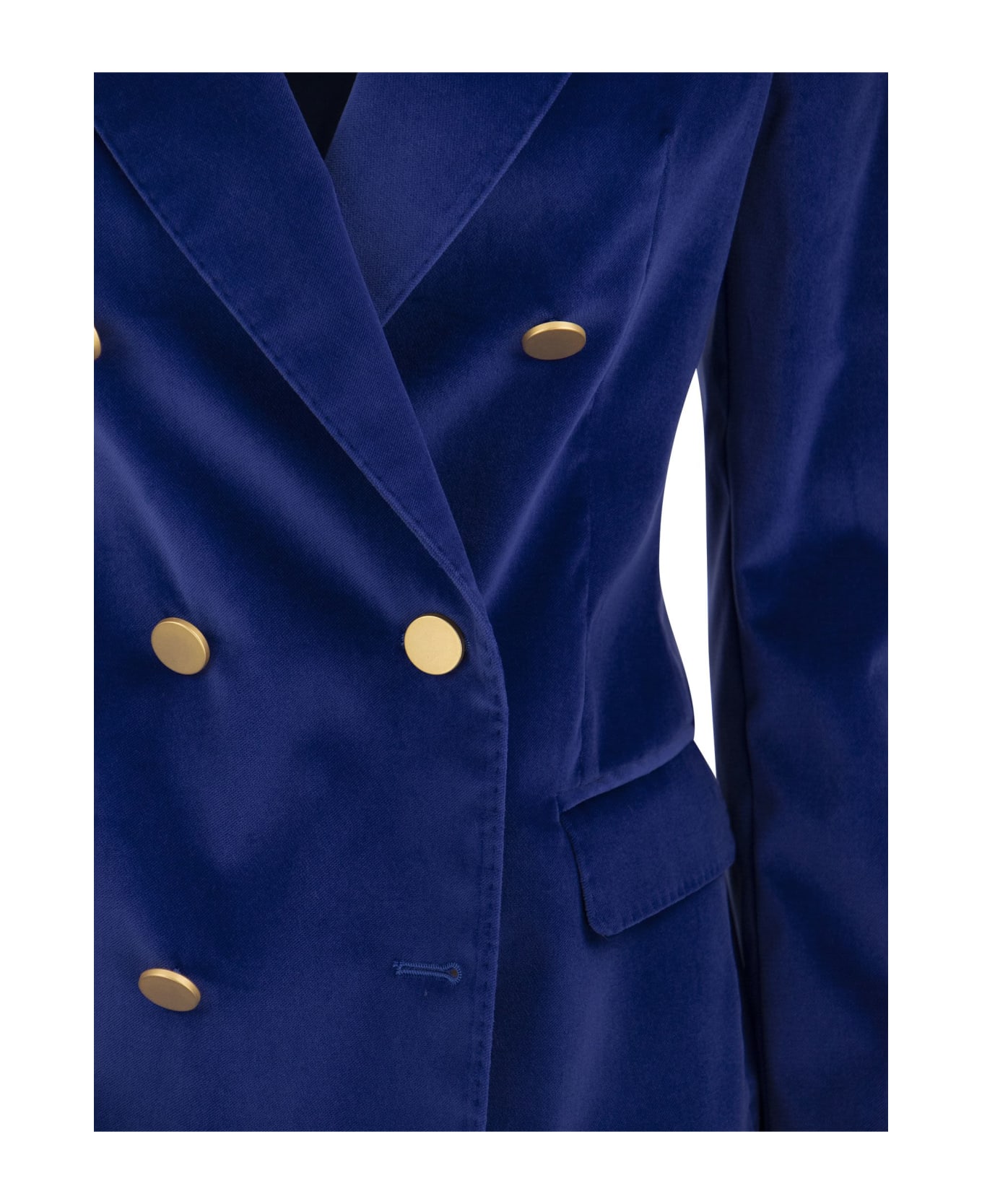 Tagliatore Paris - Velvet Jacket - Bluette コート