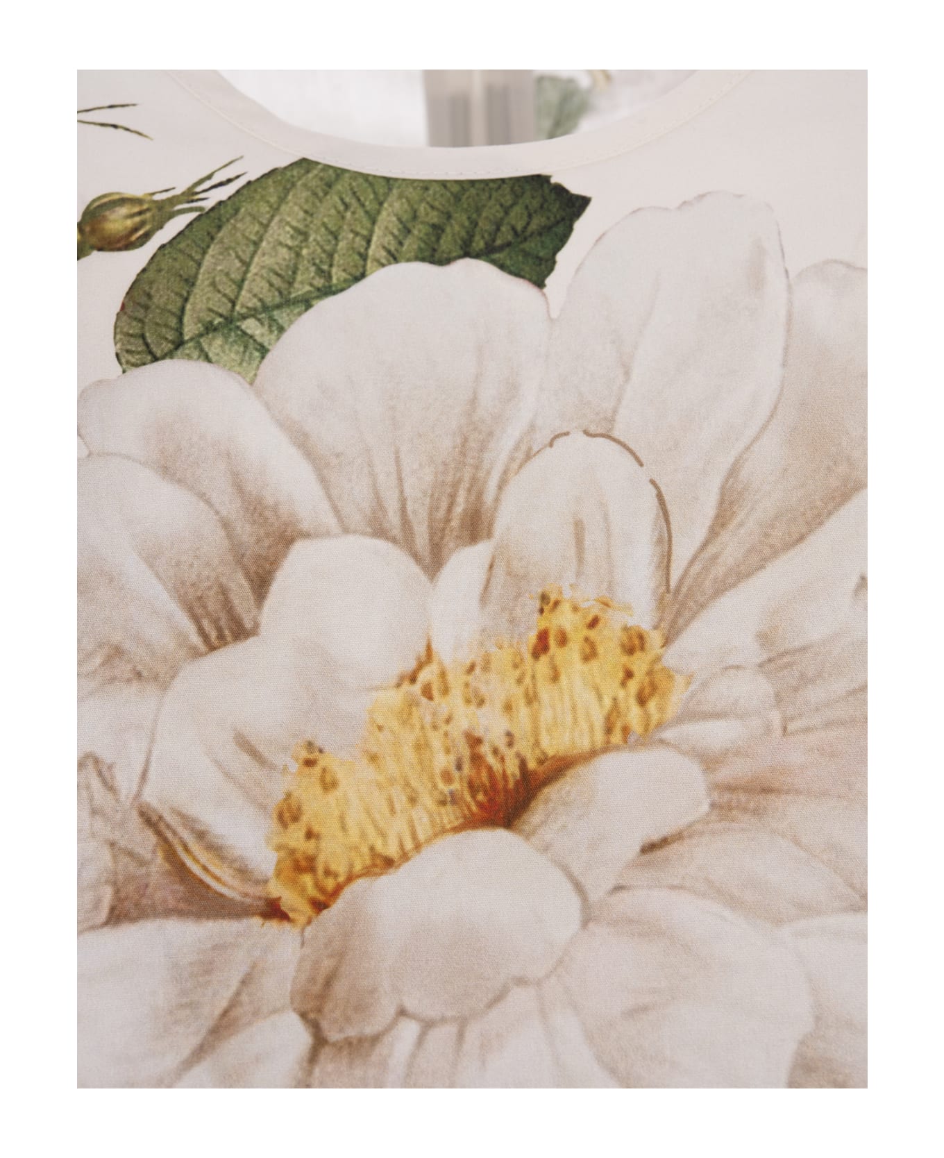 Giambattista Valli Giant Bloom Crop Blouse In White - White