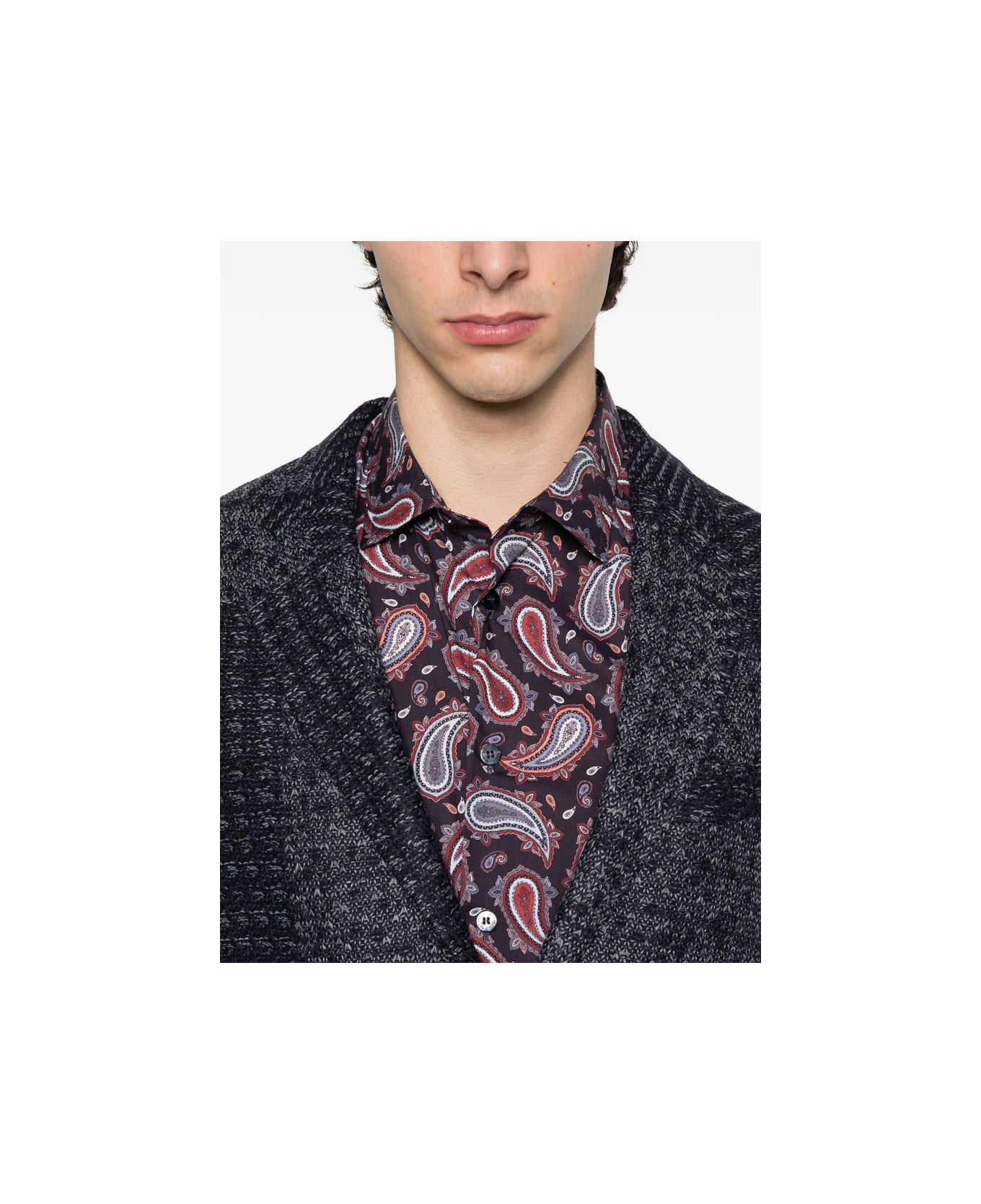Etro Shirt - PURPLE