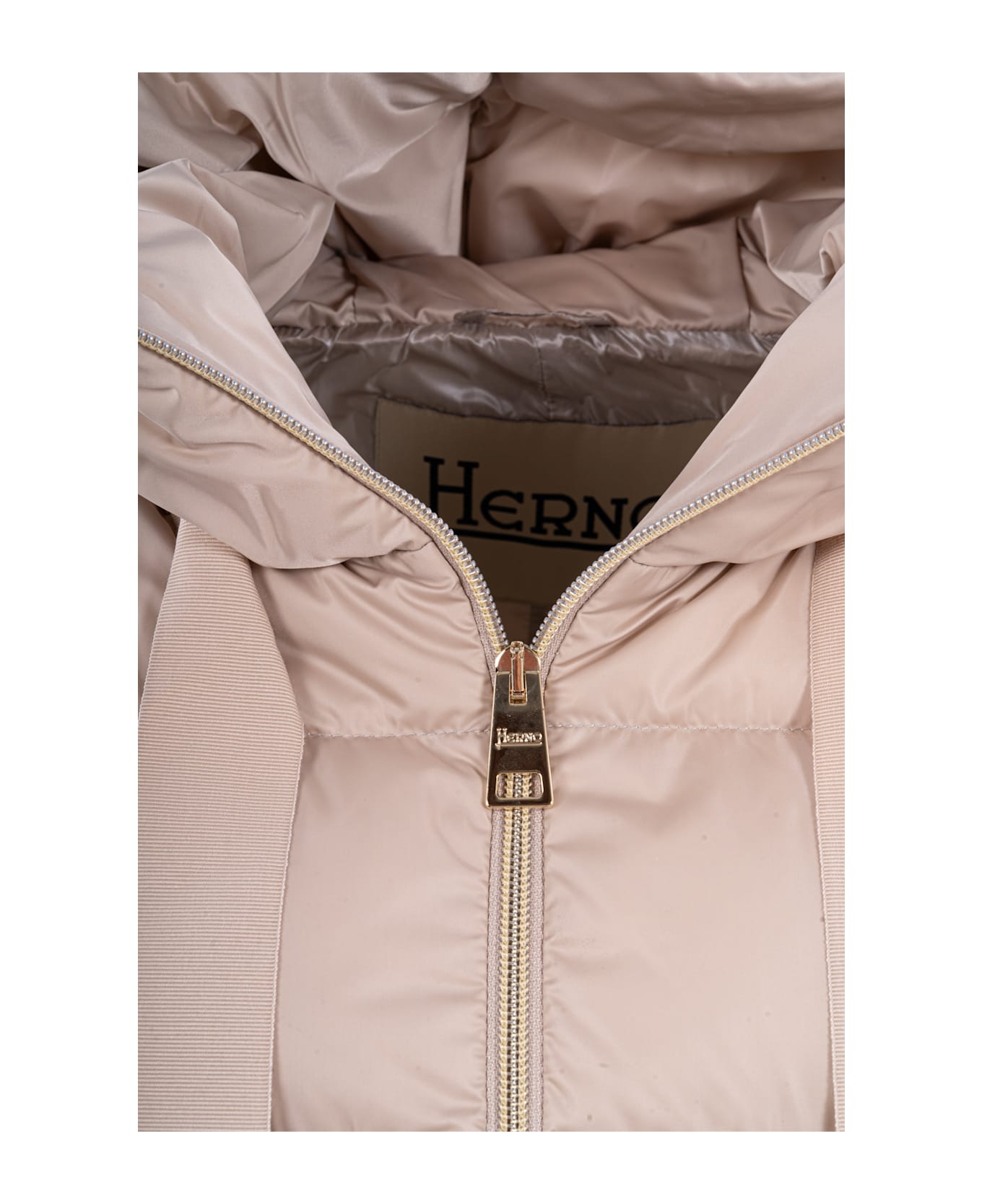 Herno Coats Beige - Beige