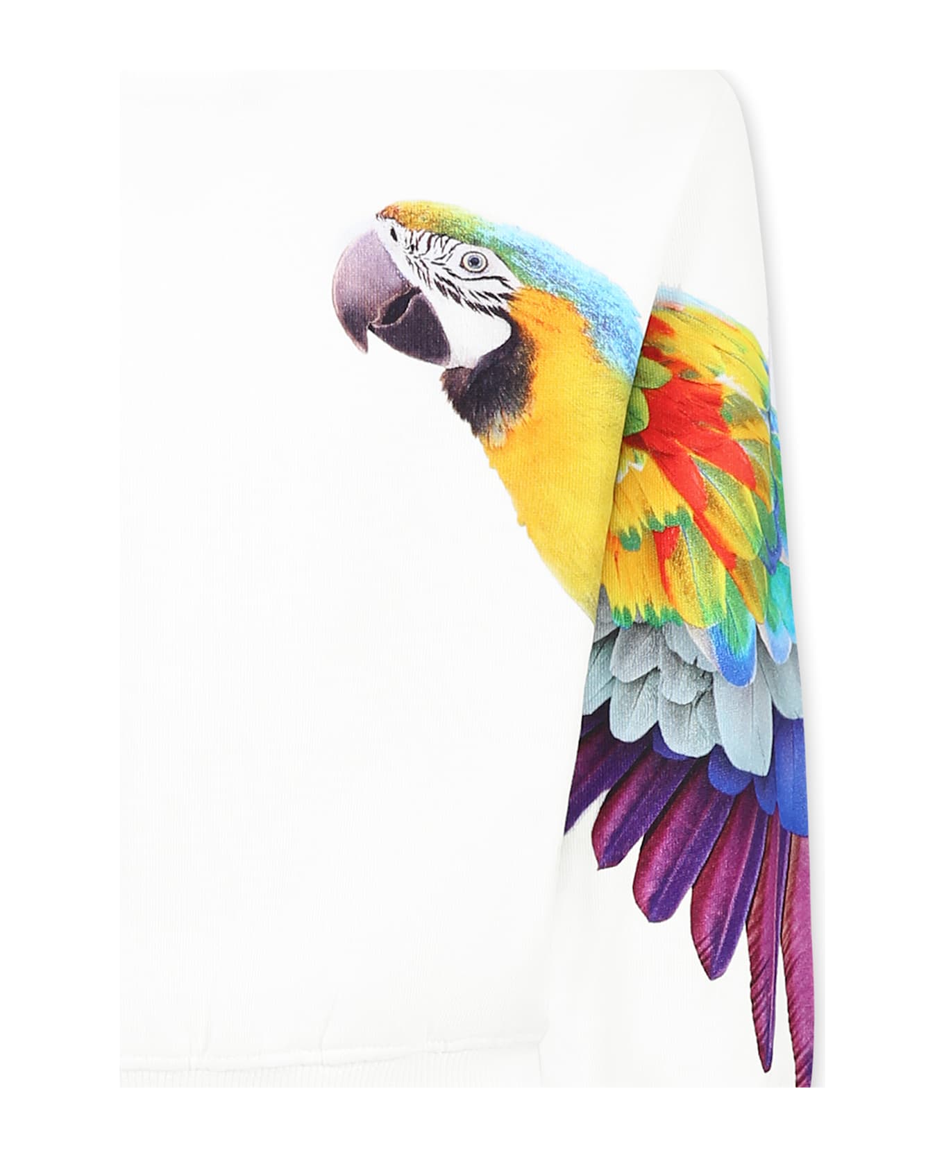 Molo White Sweatshirt For Girl With Parrot - White