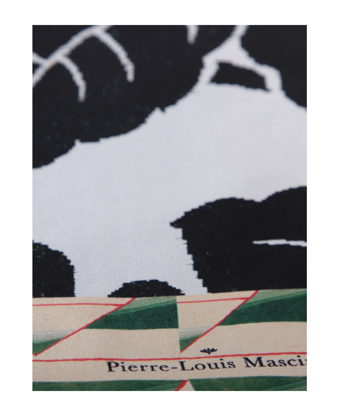 Pierre-Louis Mascia Aloe Teal/black Scarf - Green