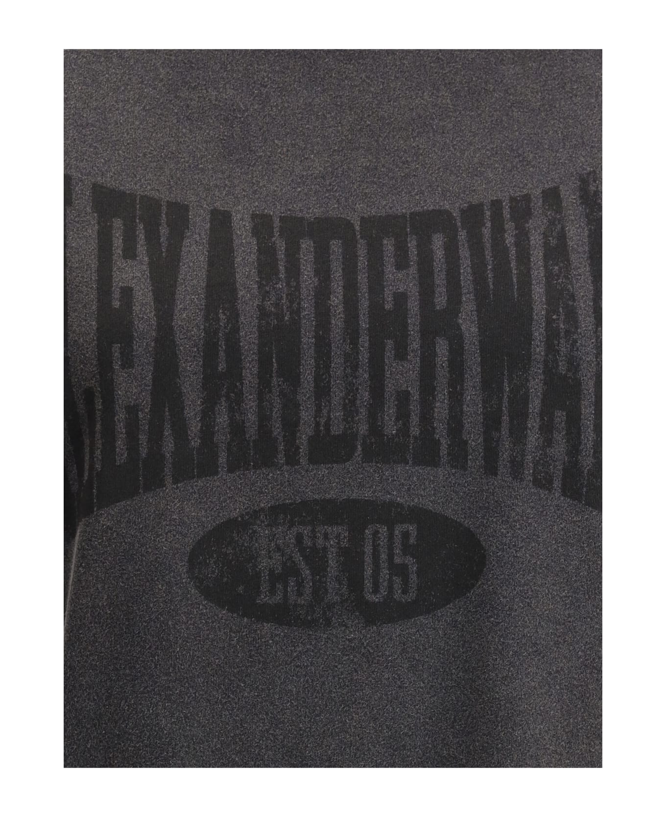 Alexander Wang Graphic T-shirt - FADEDBLACK