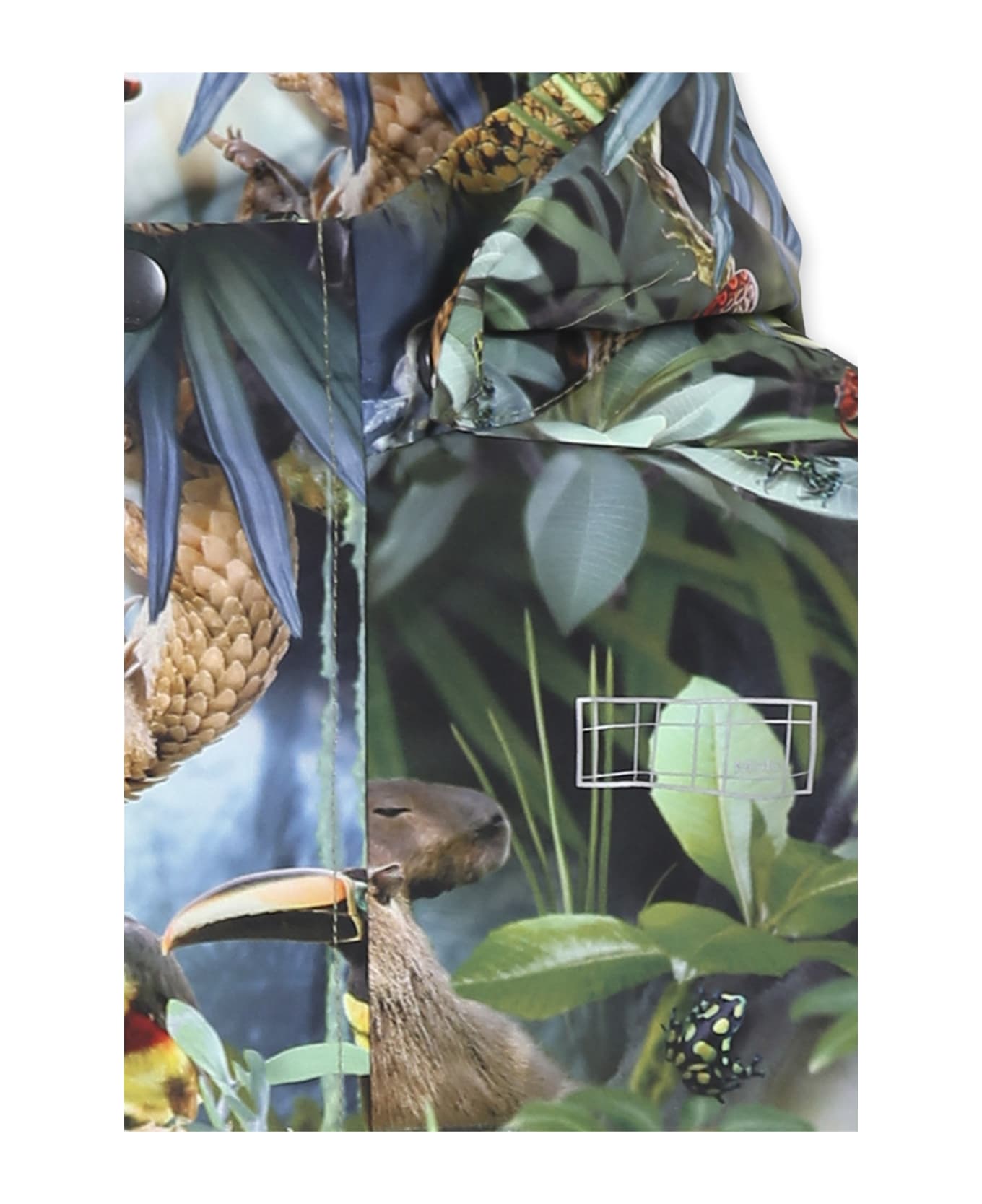 Molo Geen Windbreaker Jacket For Kids With Jungle Print - Green