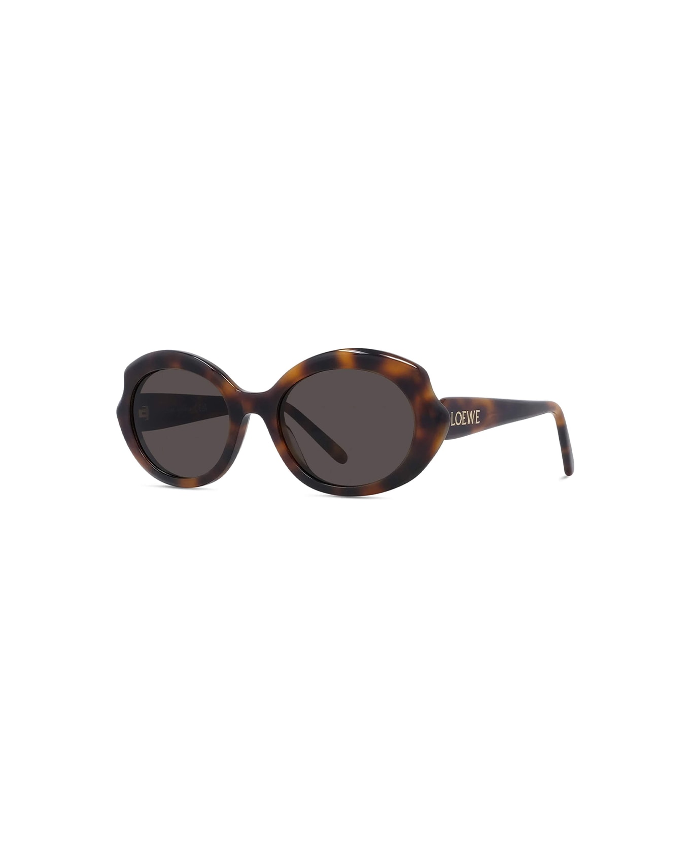 Loewe Lw40147i - Dark Havana Sunglasses - Dark Havana