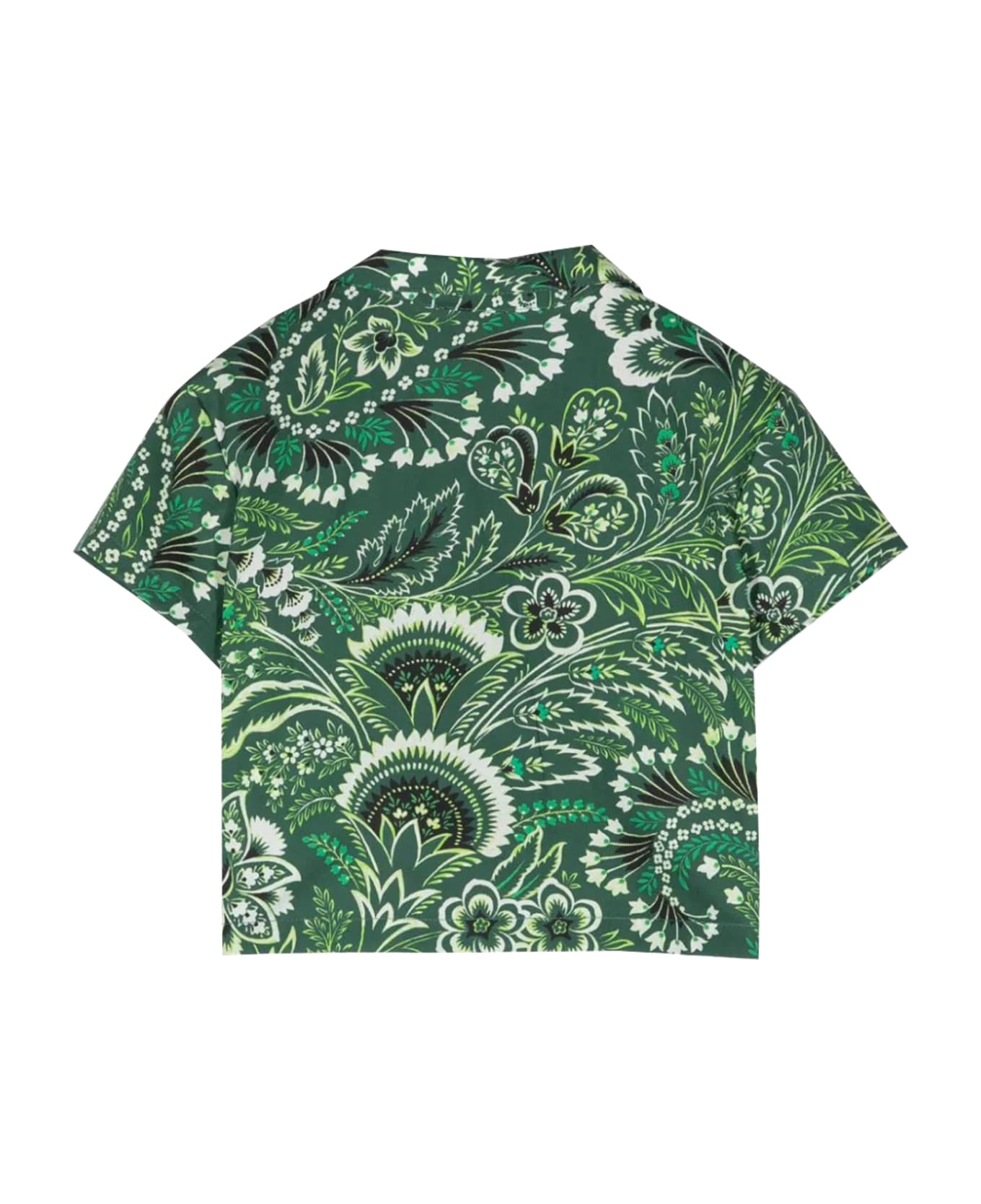 Etro Monochrome Paisley Shirt - Green