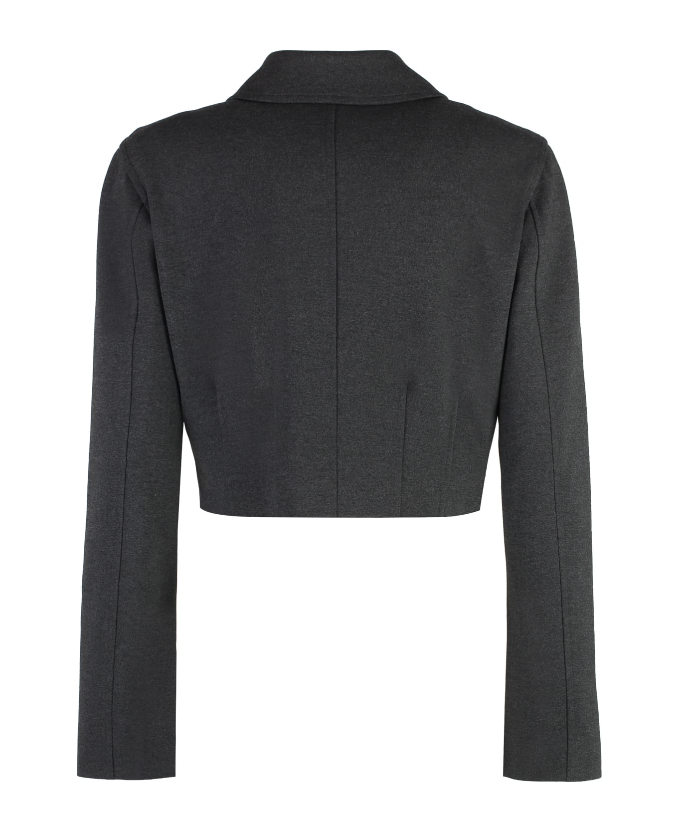 Pinko Doccia Single-breasted Jacket - grey