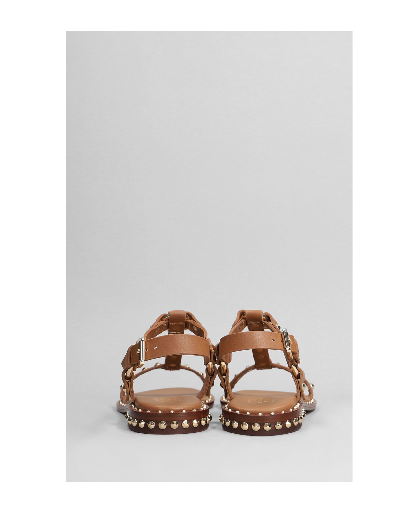 Ash Patsy Flats In Leather Color Leather - leather color