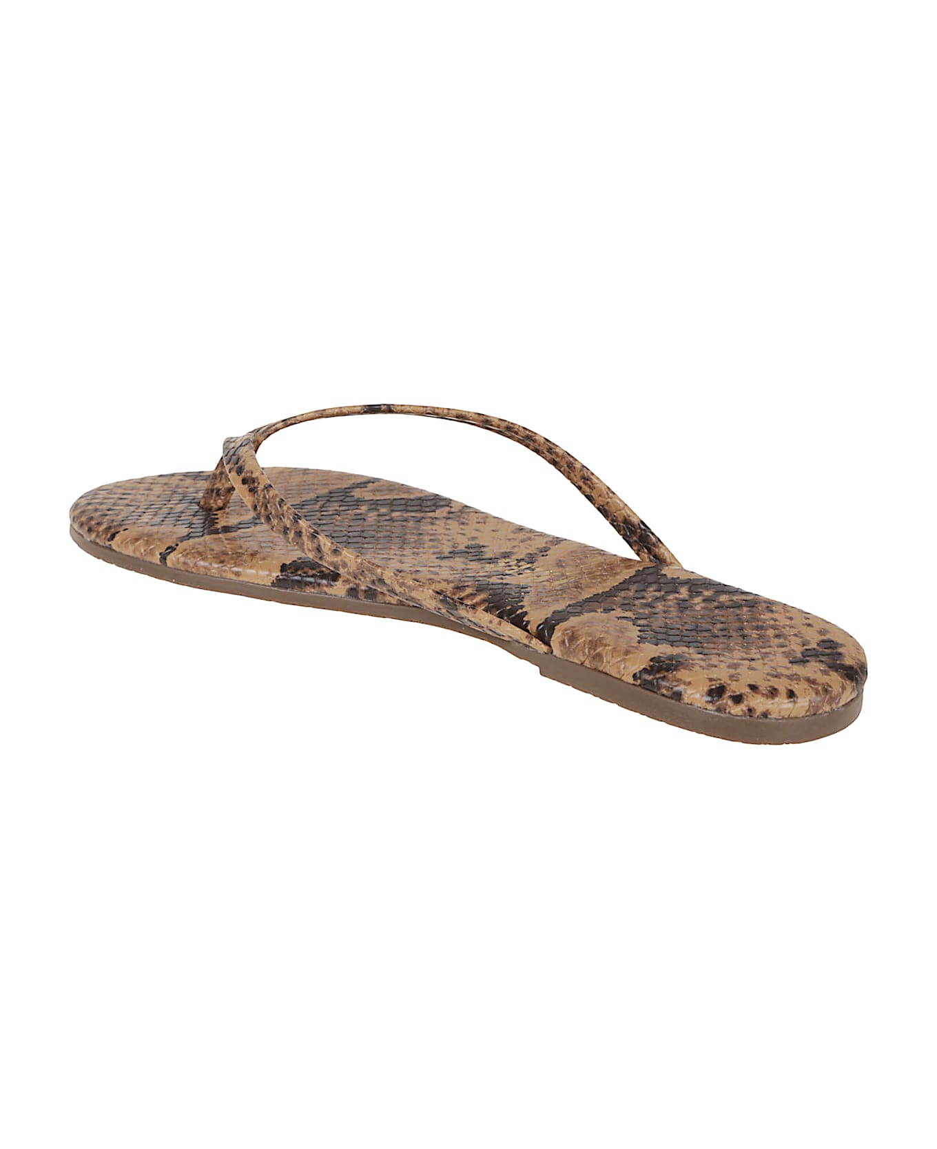Tkees Studio Exotic - Studio Exotic Coco Snake