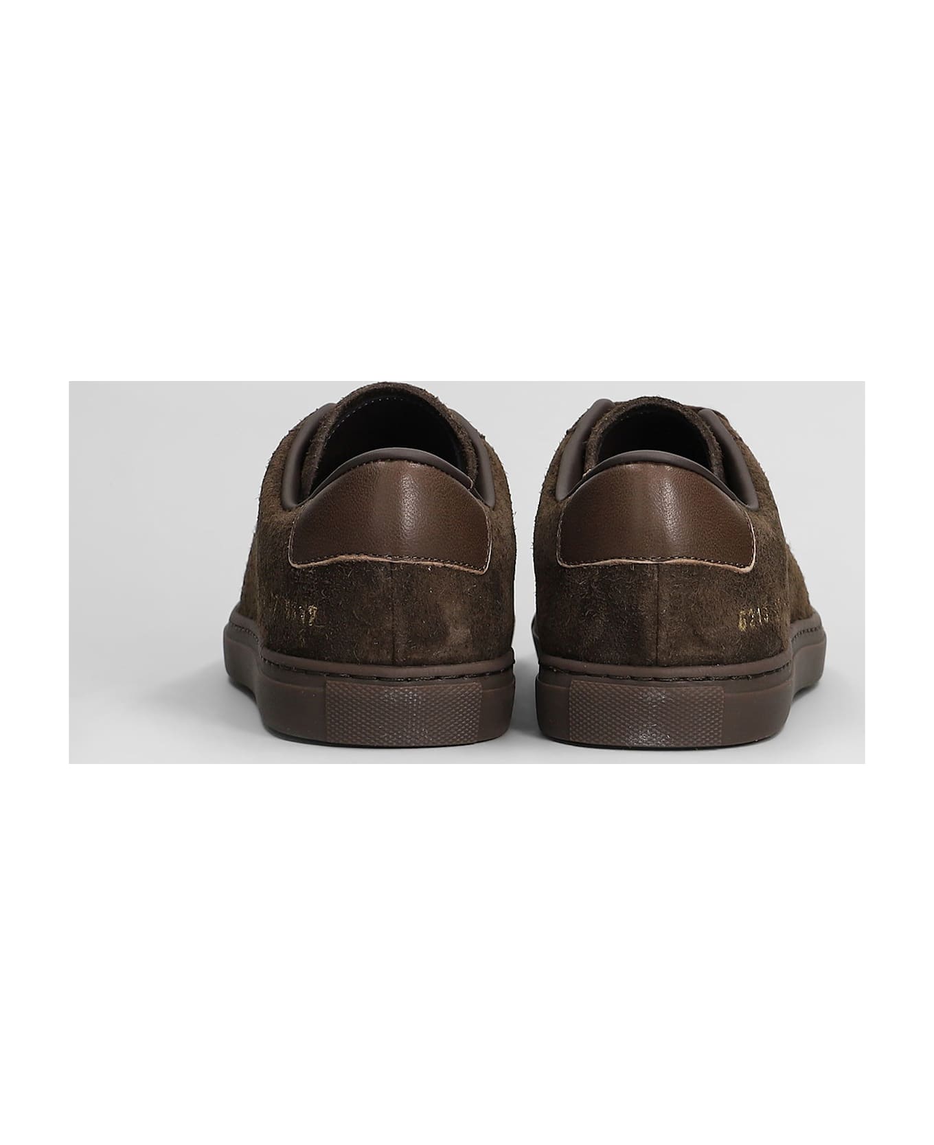 Common Projects Field Trainer Sneakers In Brown Suede - brown