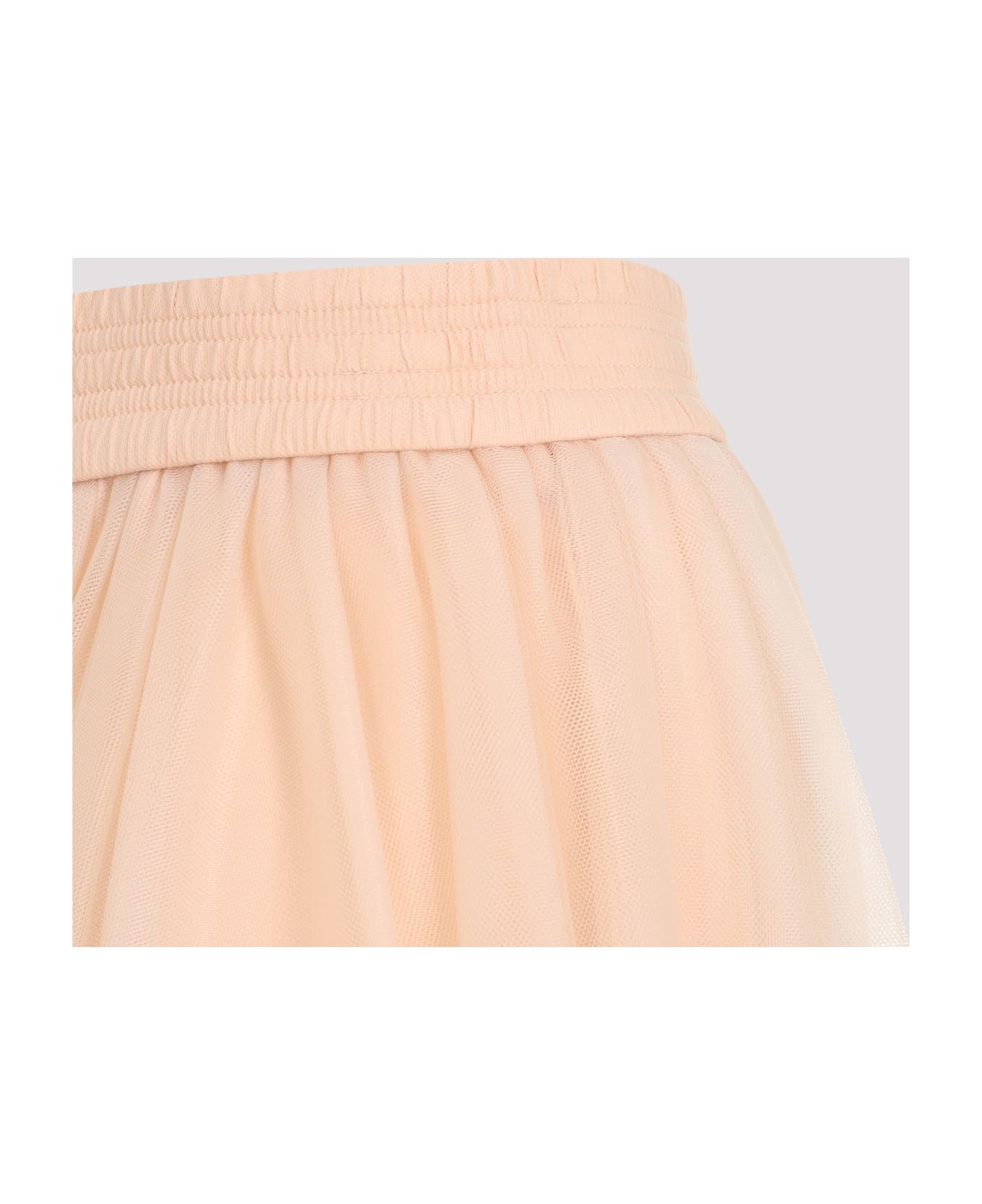 Fabiana Filippi Tulle Midi Skirt - Cipria