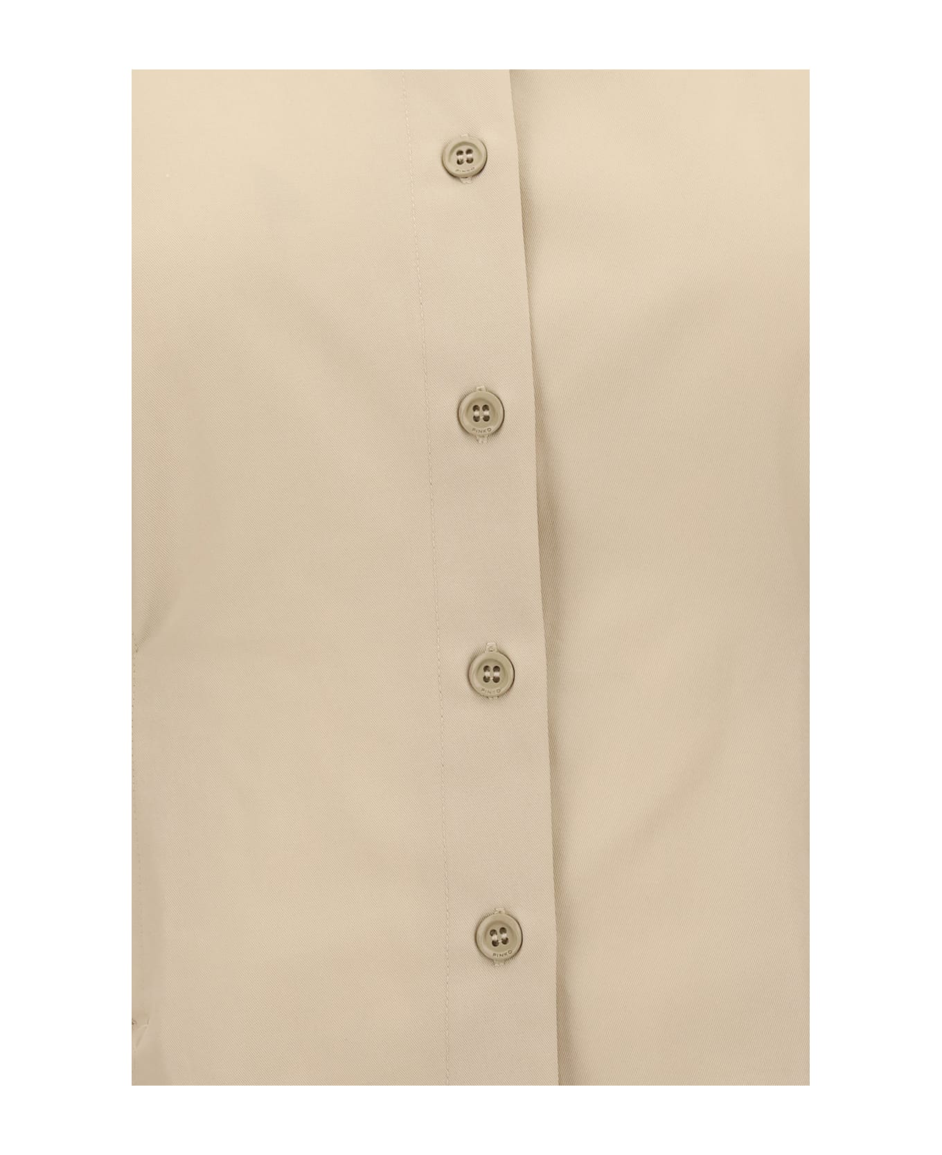 Pinko Belted Habotai Shirt