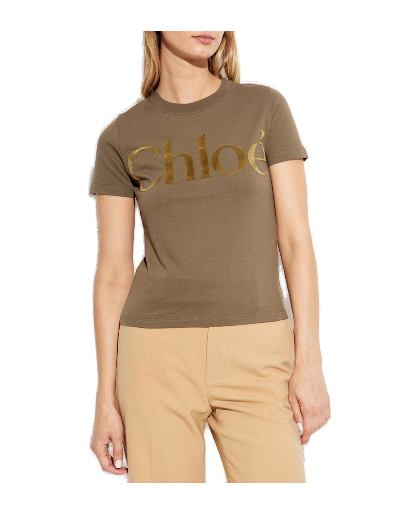 Chloé Velvet-logo Crewneck T-shirt - BROWN