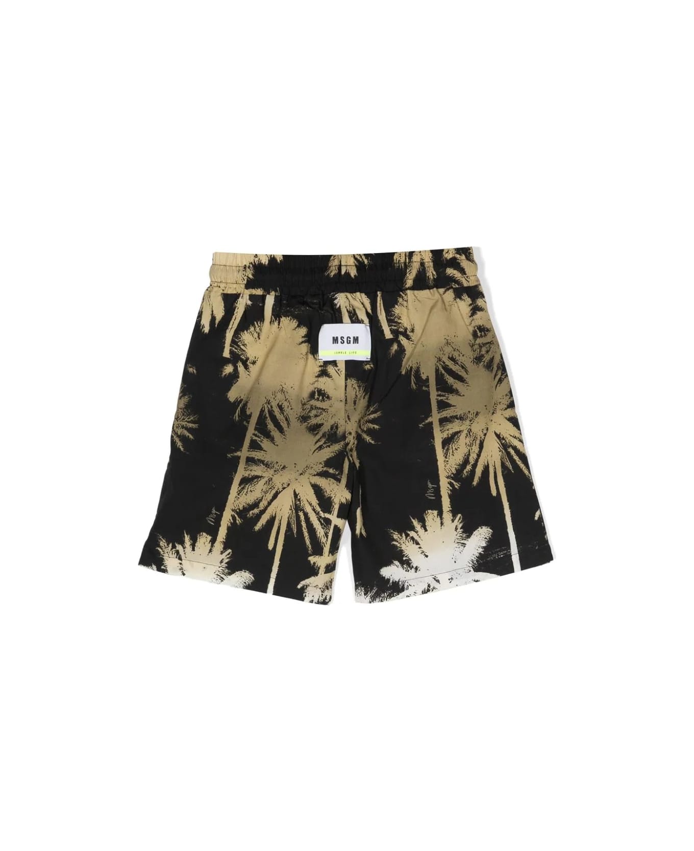 MSGM Black Shorts With Palm Tree Print - Black
