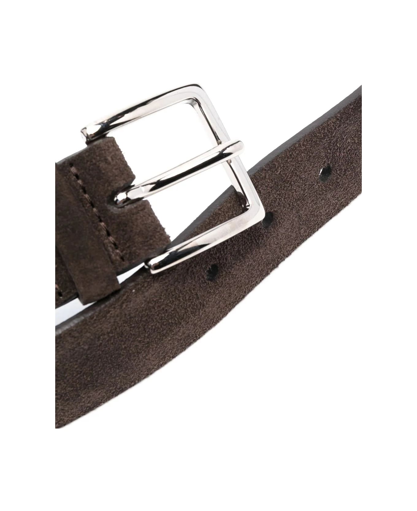 Orciani Dark Brown Suede Amalfi Belt - Brown ベルト