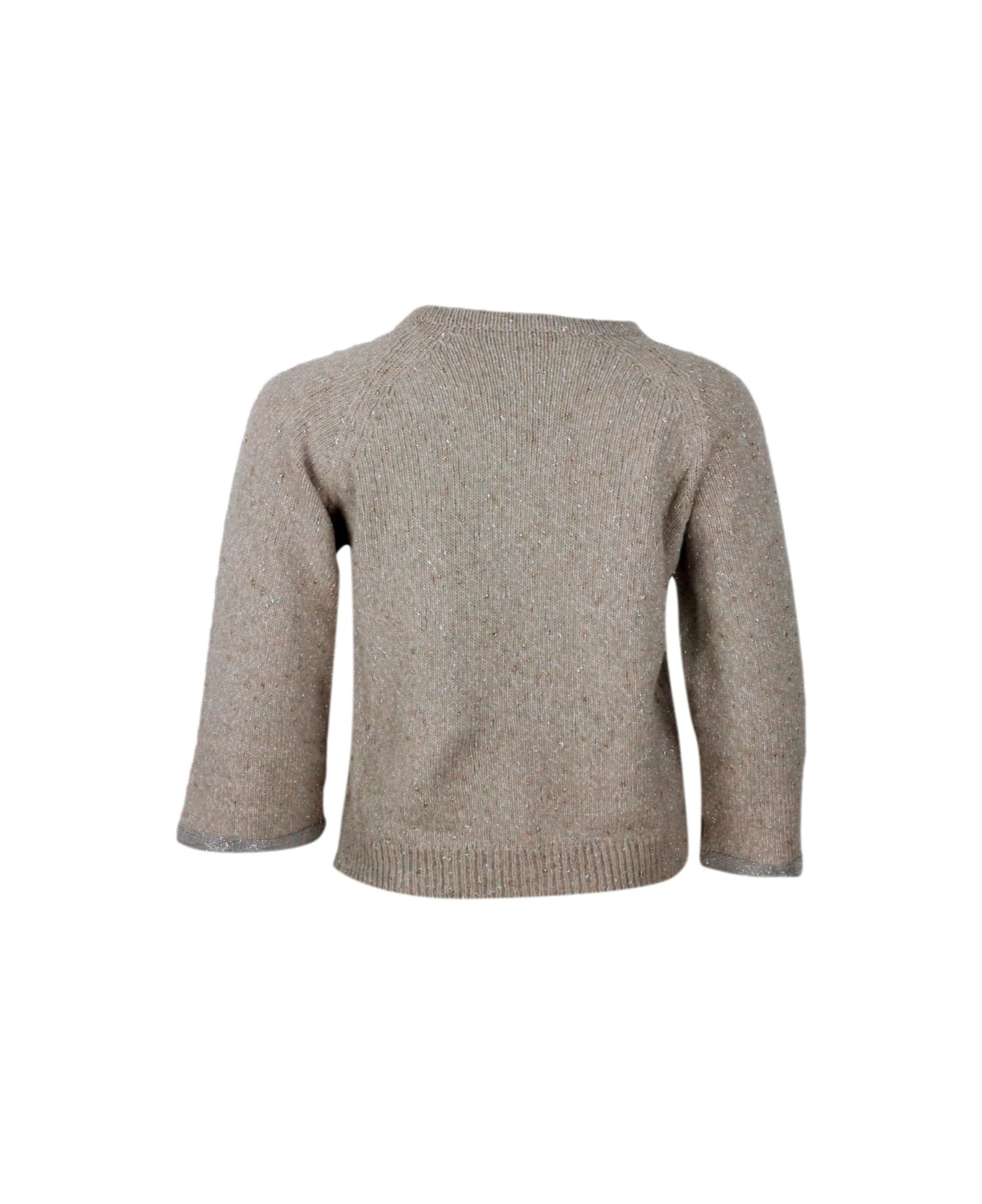 Fabiana Filippi Crewneck Sweater In Donegal Lamè Yarn With 3/4 Sleeves Embellished With Brilliant Jewel Details On The Sleeves - Beige