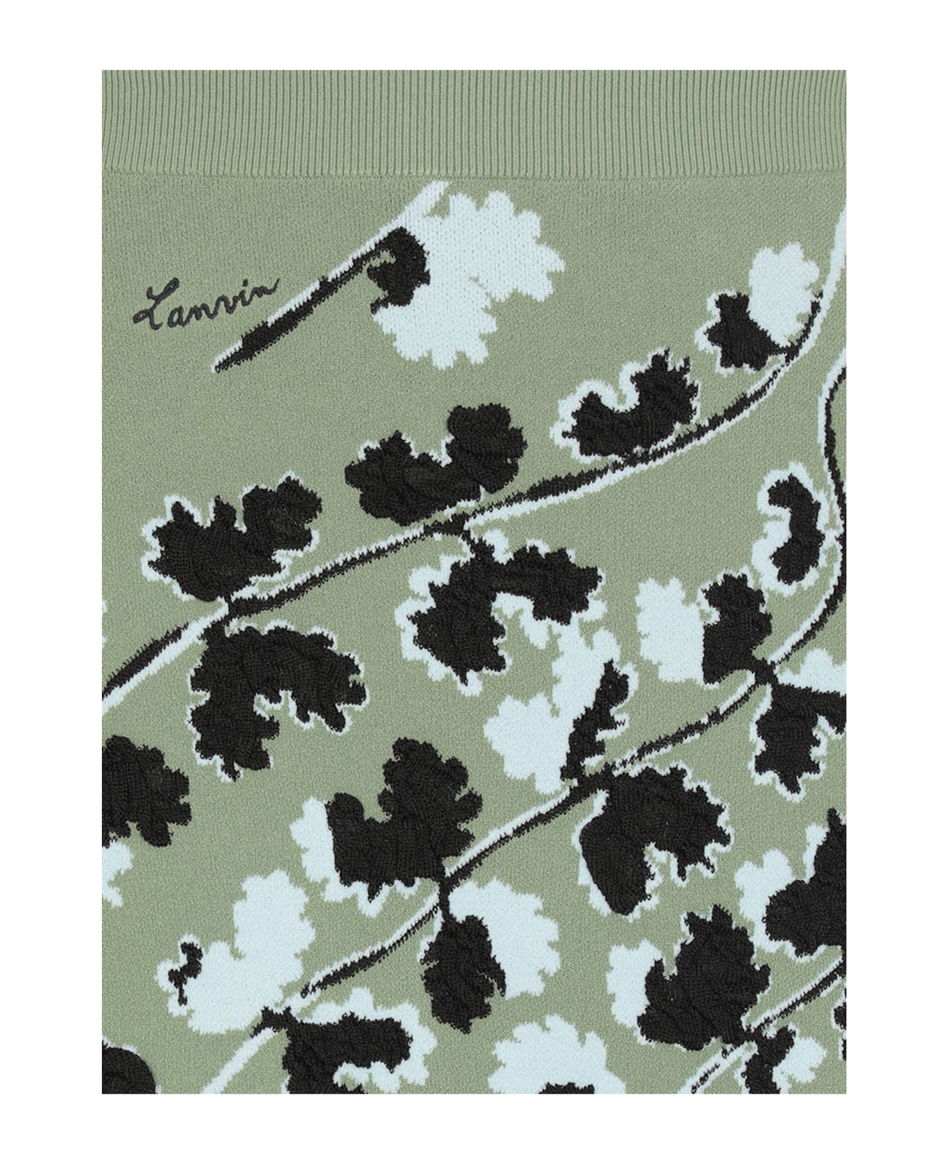 Lanvin Skirt With Floral Pattern - Green