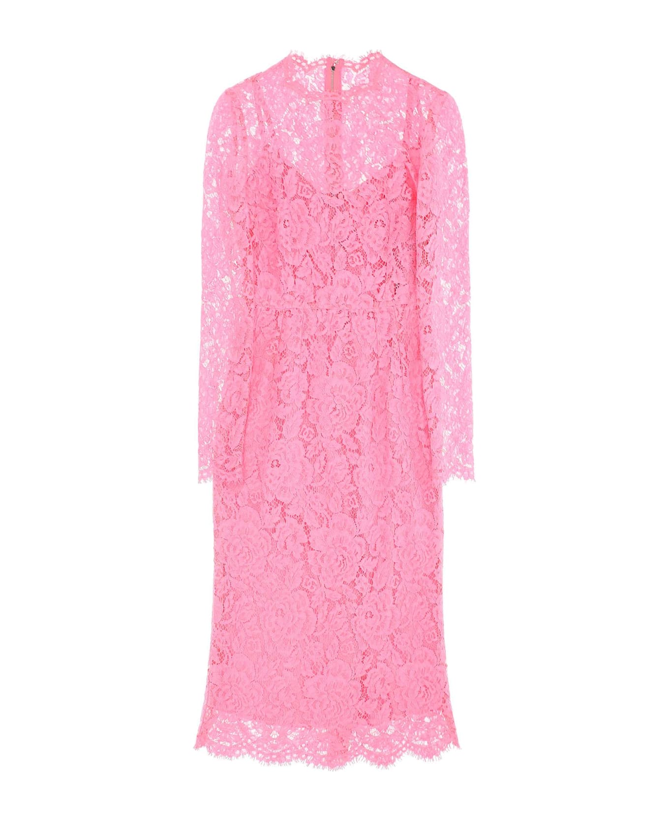 Dolce & Gabbana Midi Dress In Floral Cordonnet Lace - Rosa