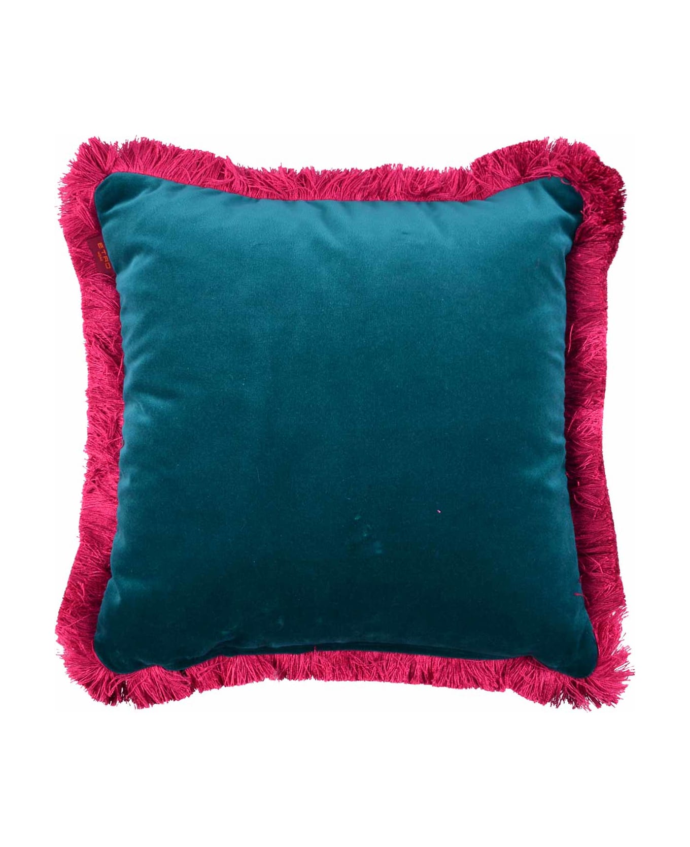 Etro Embroidered Cushion - Clear Blue