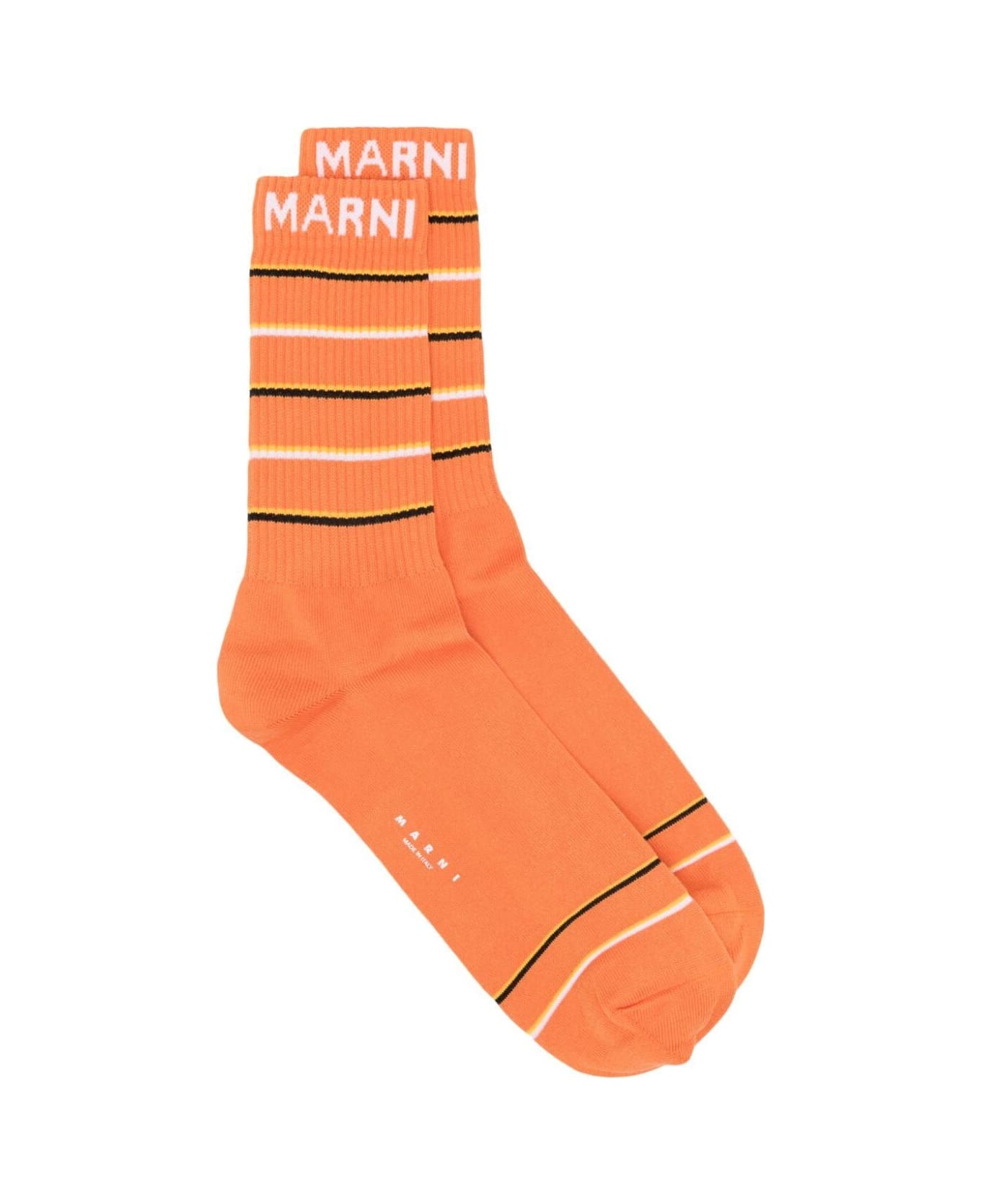 Marni Socks - Nectarine 靴下