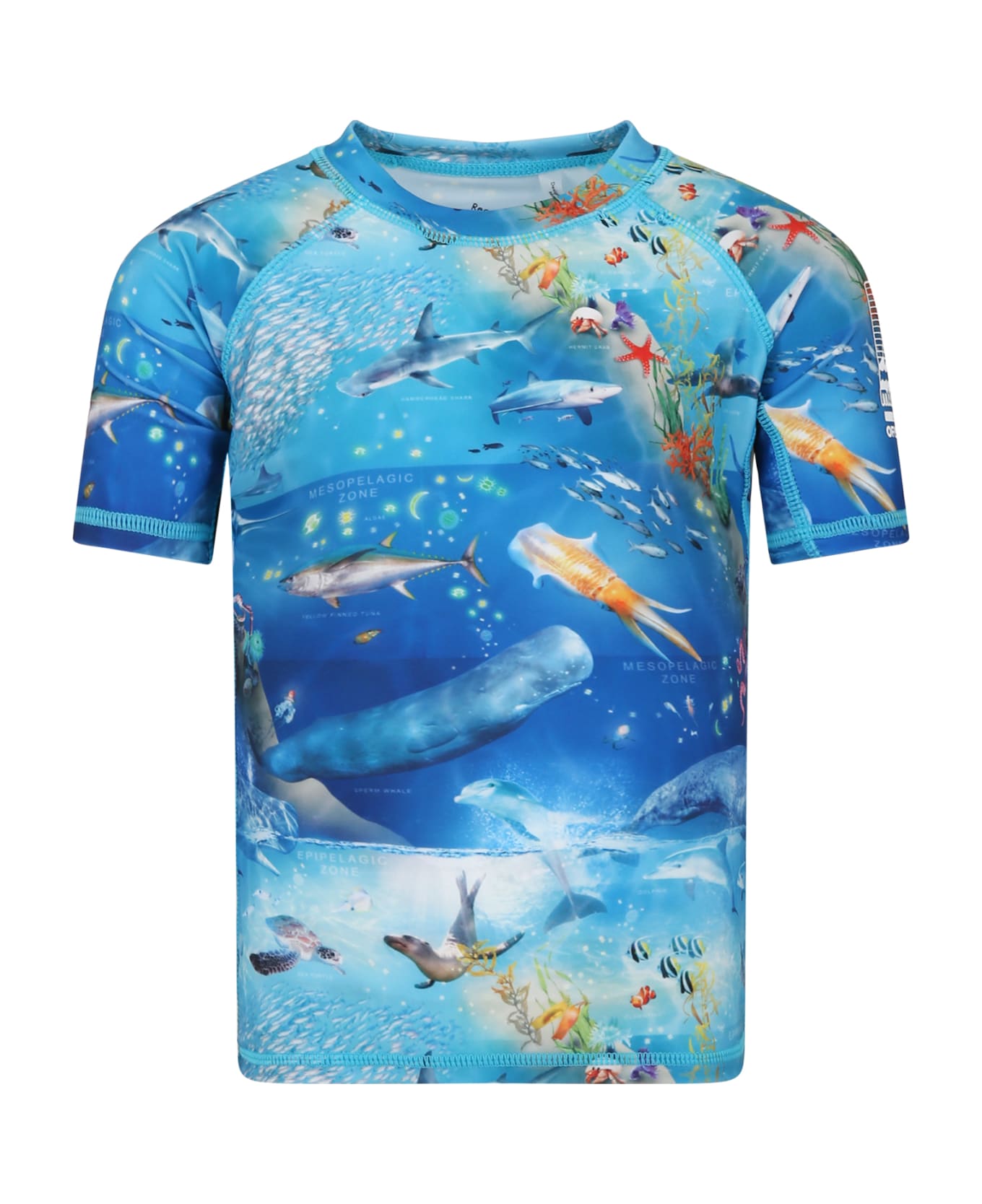 Molo Light Blue T-shirt For Boy With Marine Animals - Light Blue Tシャツ＆ポロシャツ