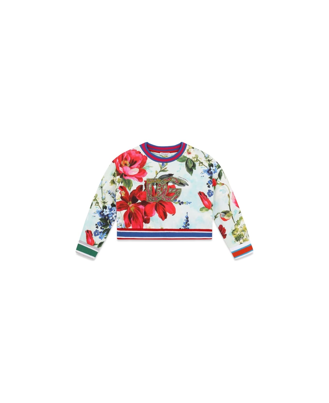 Dolce & Gabbana Sweatshirt - MULTICOLOUR