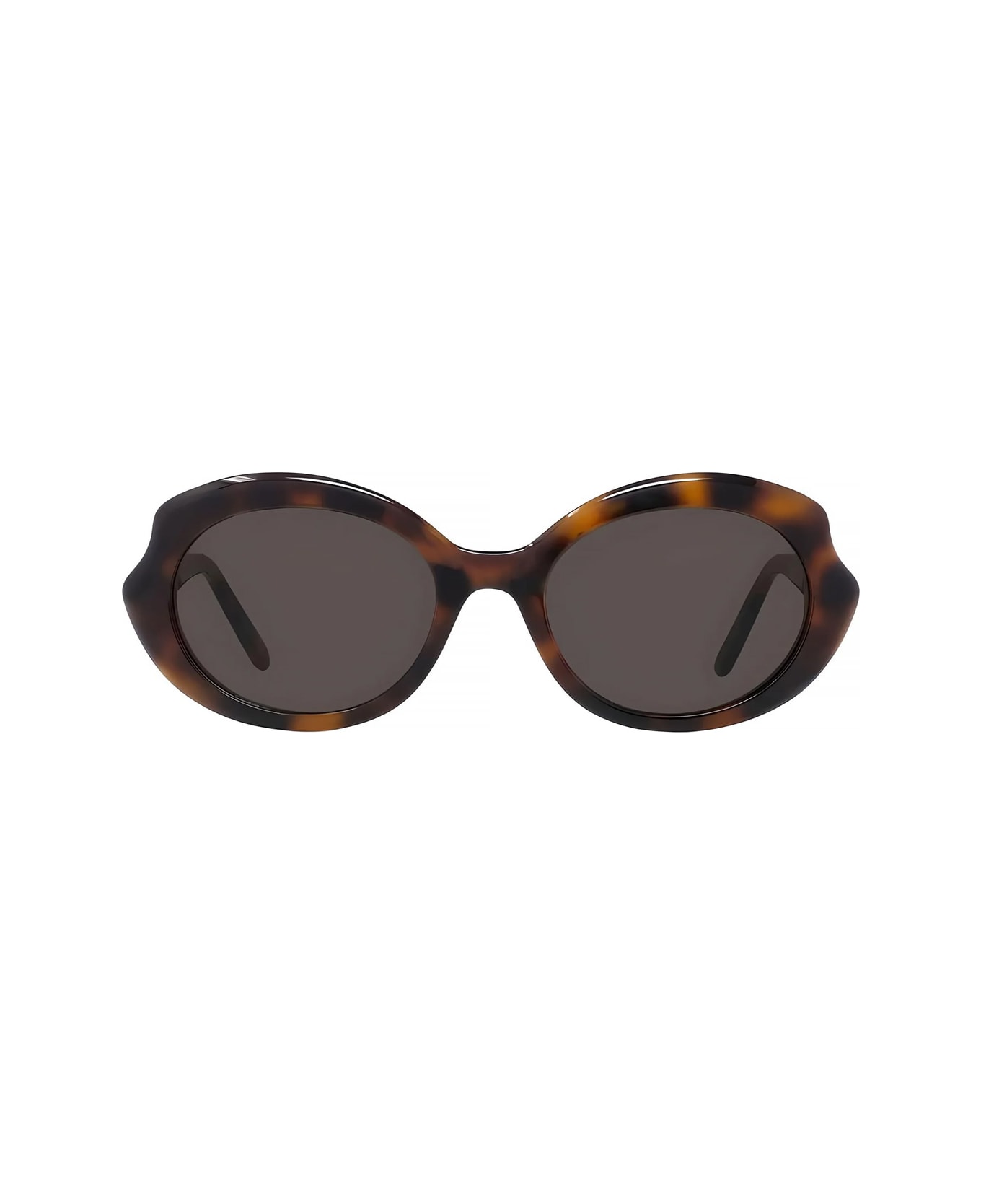 Loewe Lw40147i Slim 52e Havana Lucido Sunglasses - Marrone