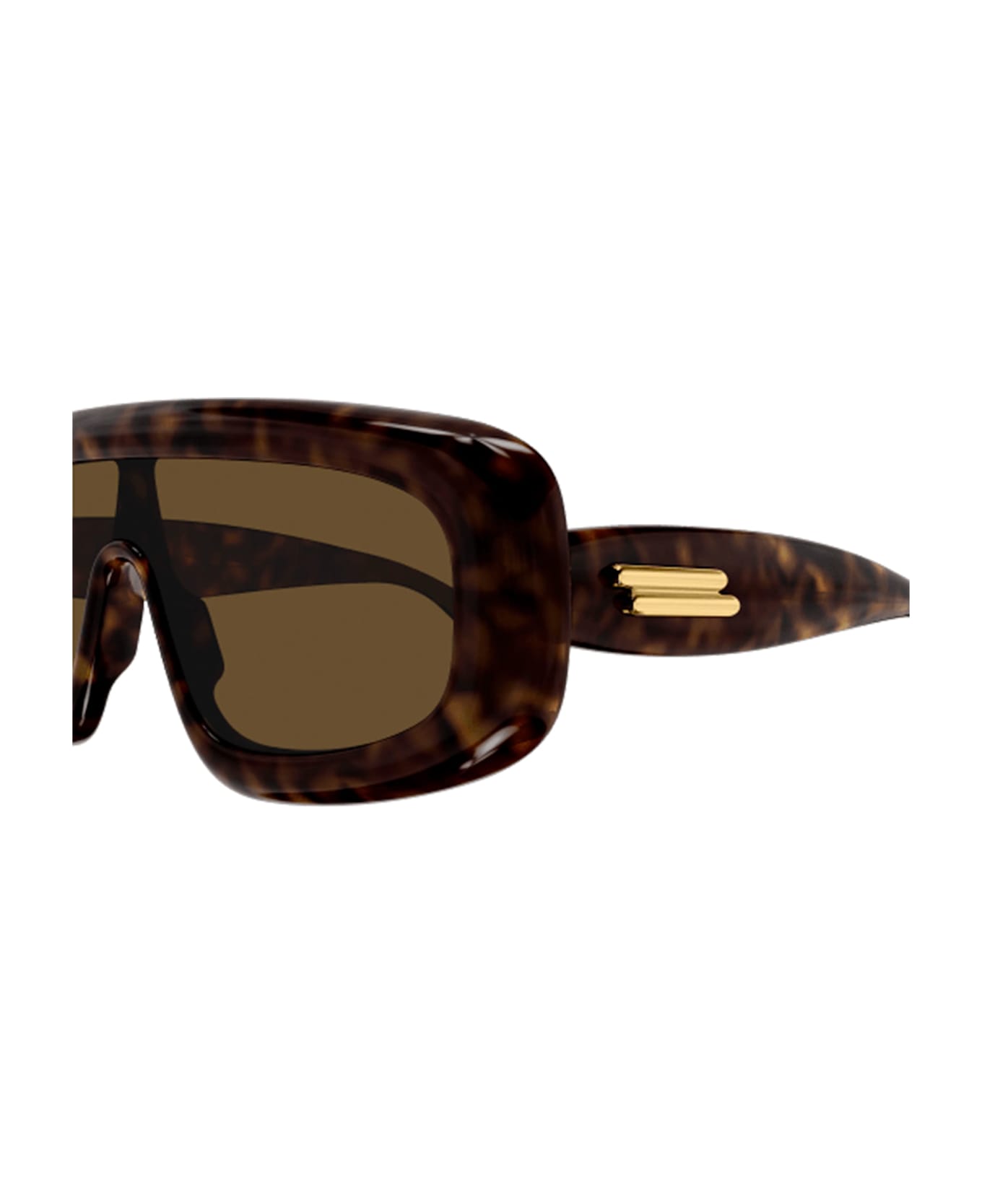 Bottega Veneta Eyewear Bv1281s-002 - Havana Sunglasses - Havana