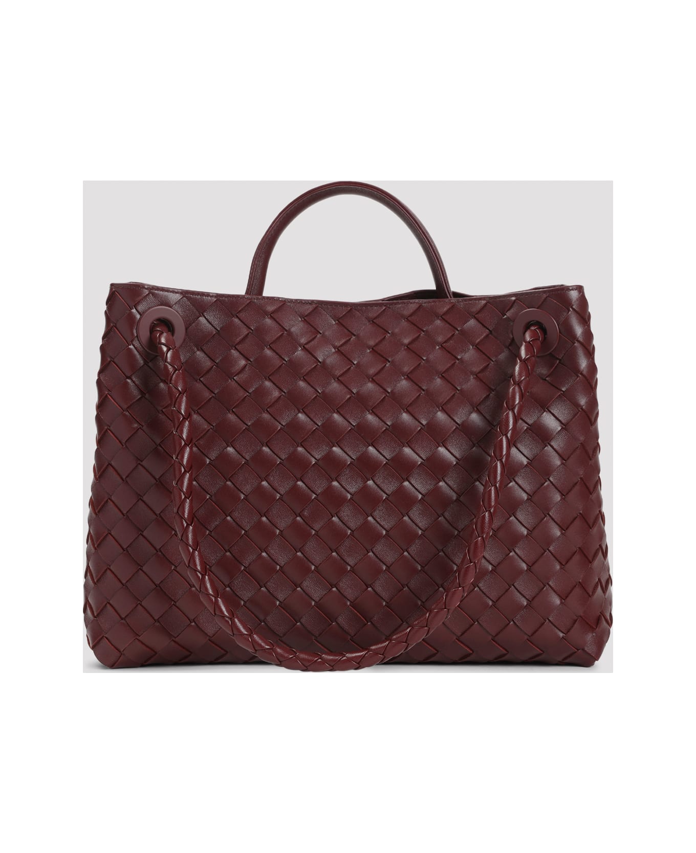Bottega Veneta Andiamo Medium Bag - Barolo