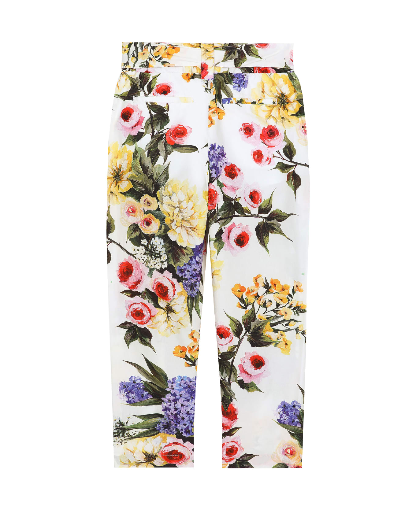Dolce & Gabbana Garden Print Poplin Pants - Multicolor