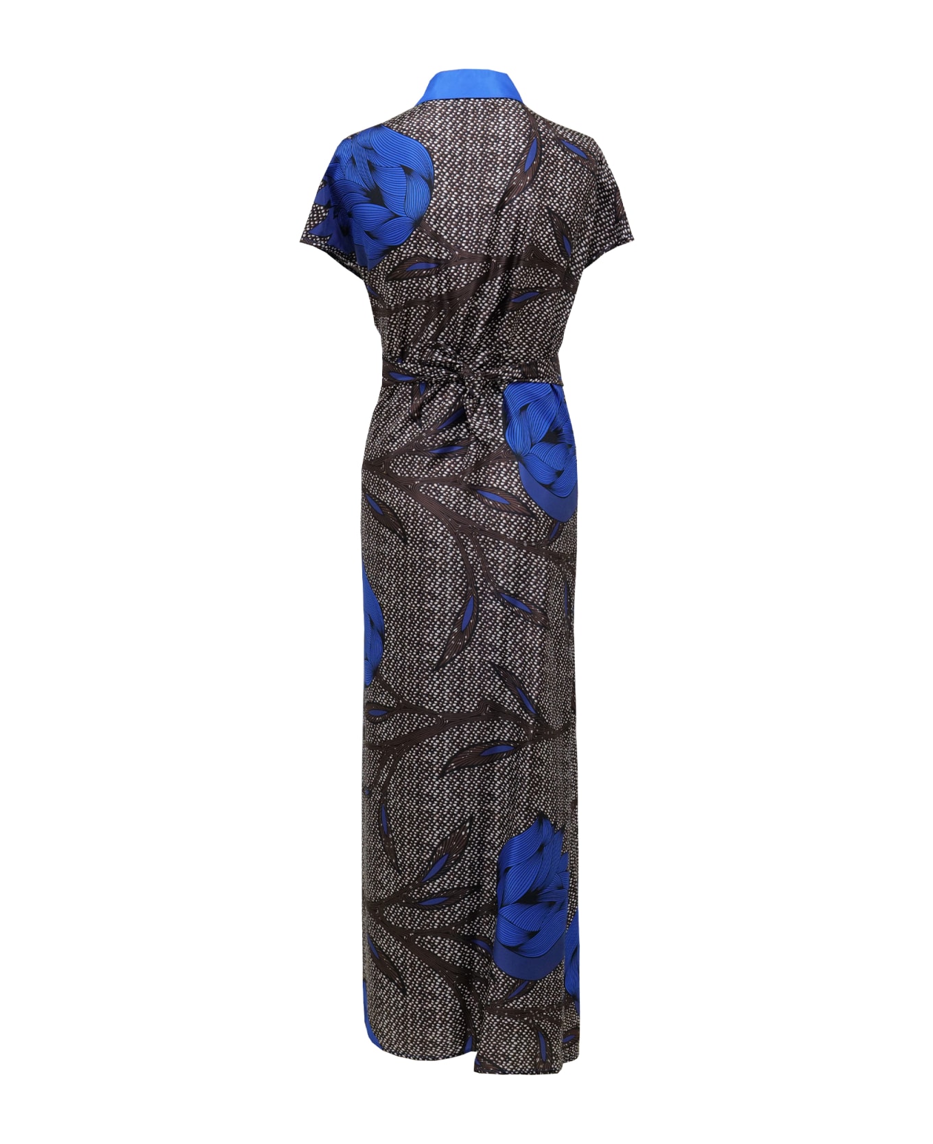 Parosh Dress - MultiColour