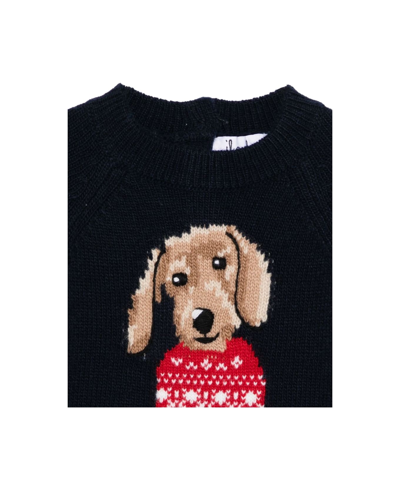 Il Gufo "dog" Shirt - BLUE