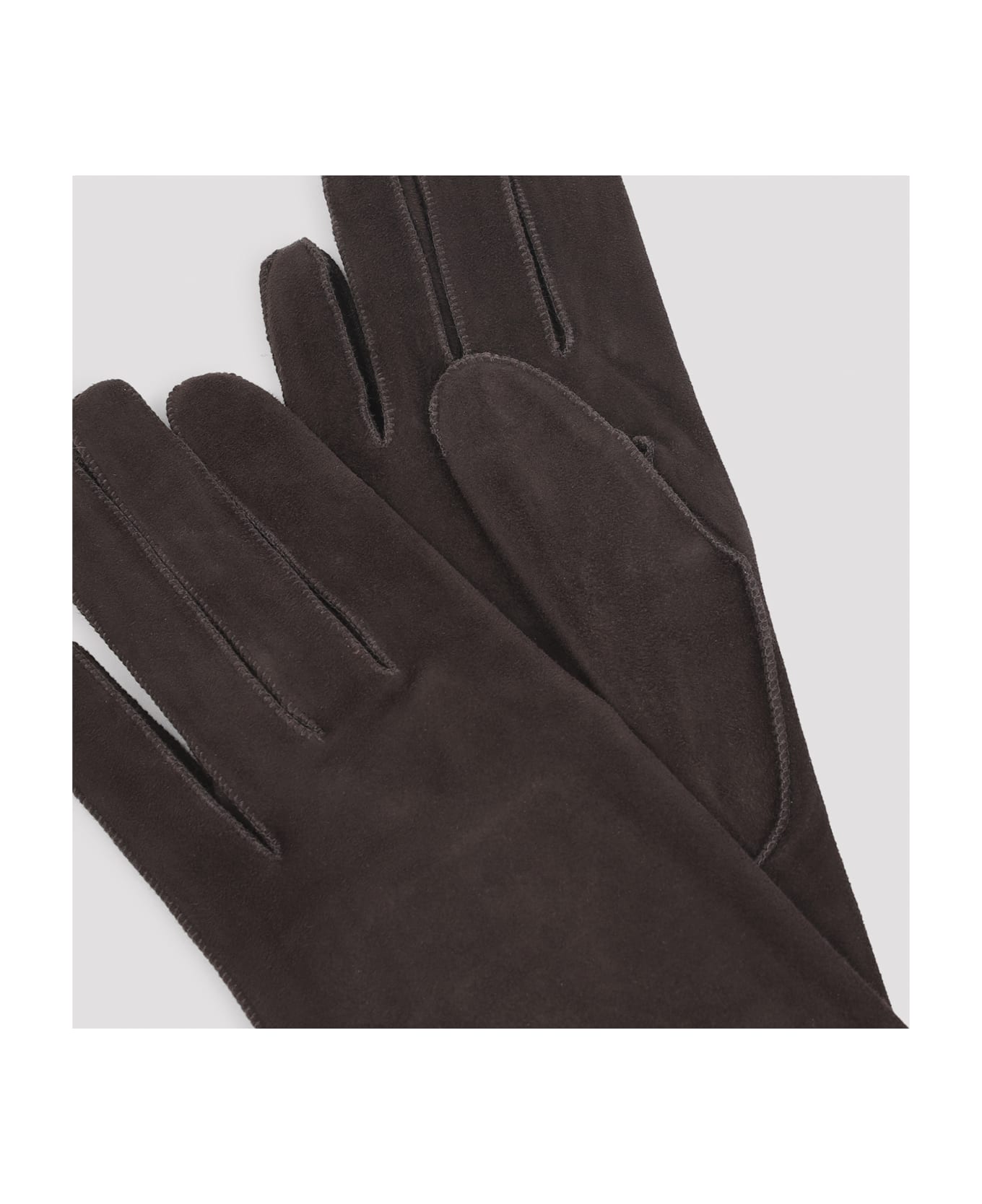 Lanvin Long Slim Gloves - Mocha