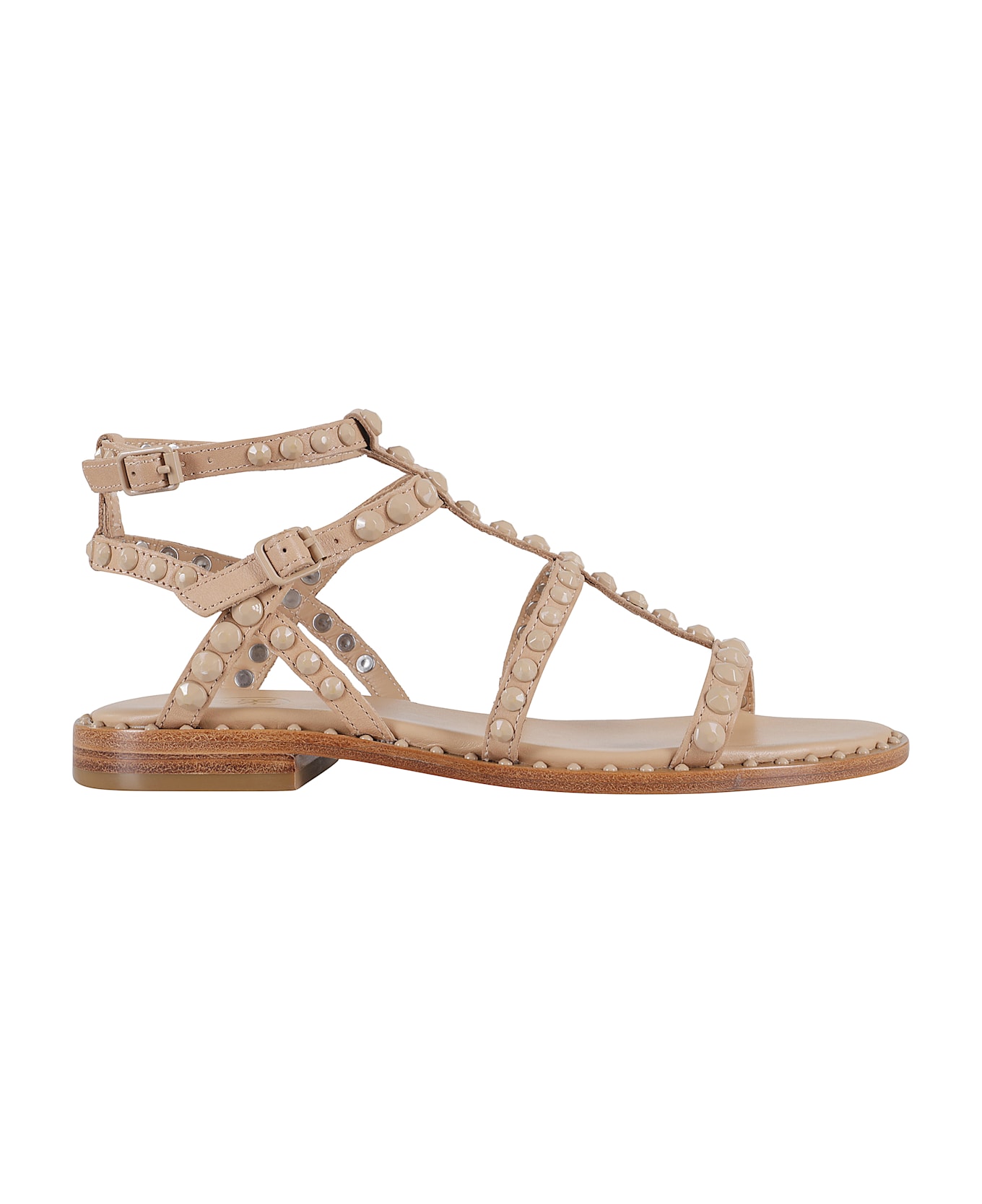 Ash Soft Brasil - Sand