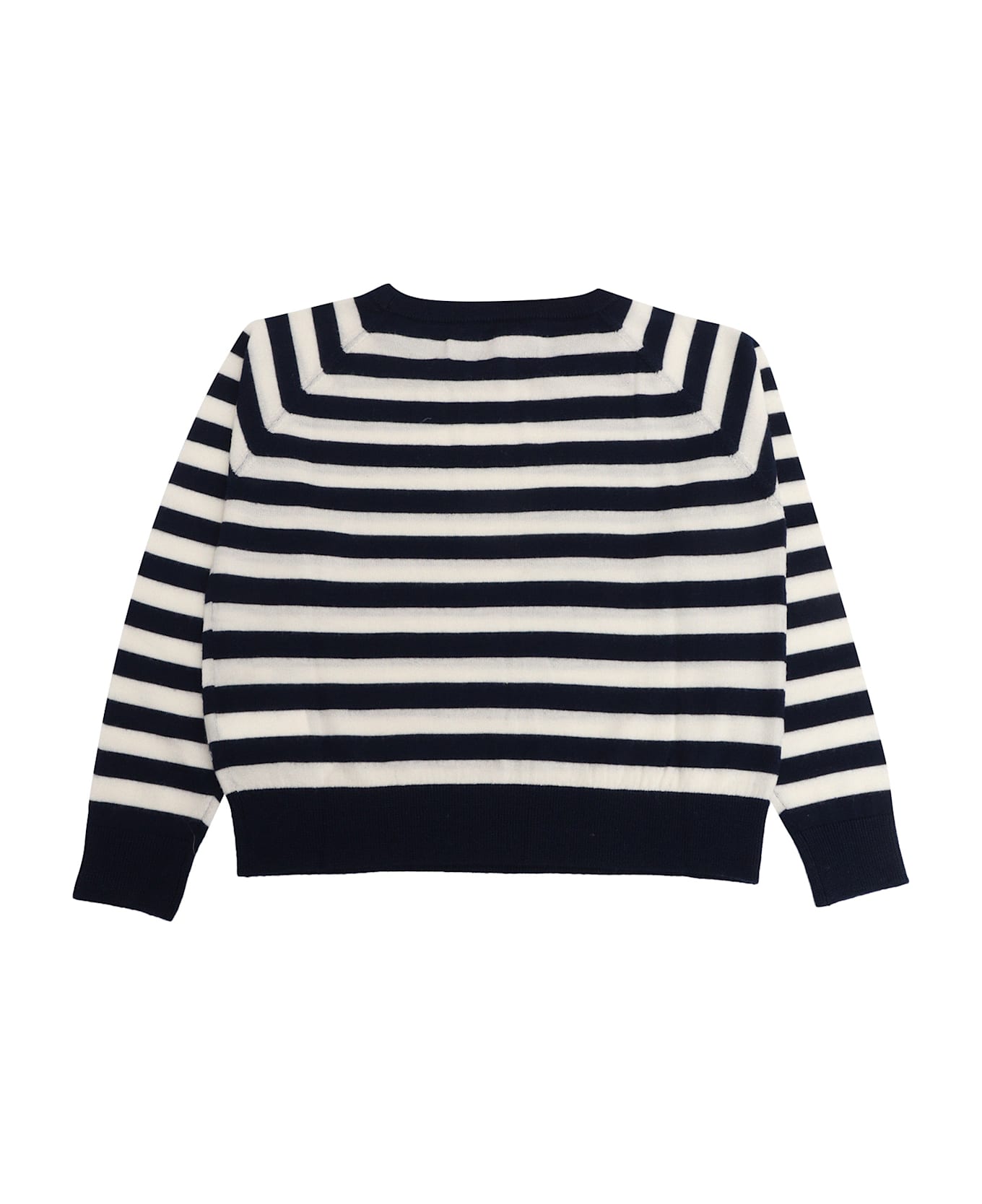 Max&Co. Knitwear - BLUE